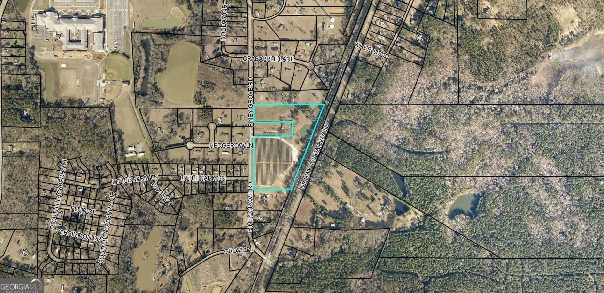 0 Piney Grove Road Kathleen GA 31047