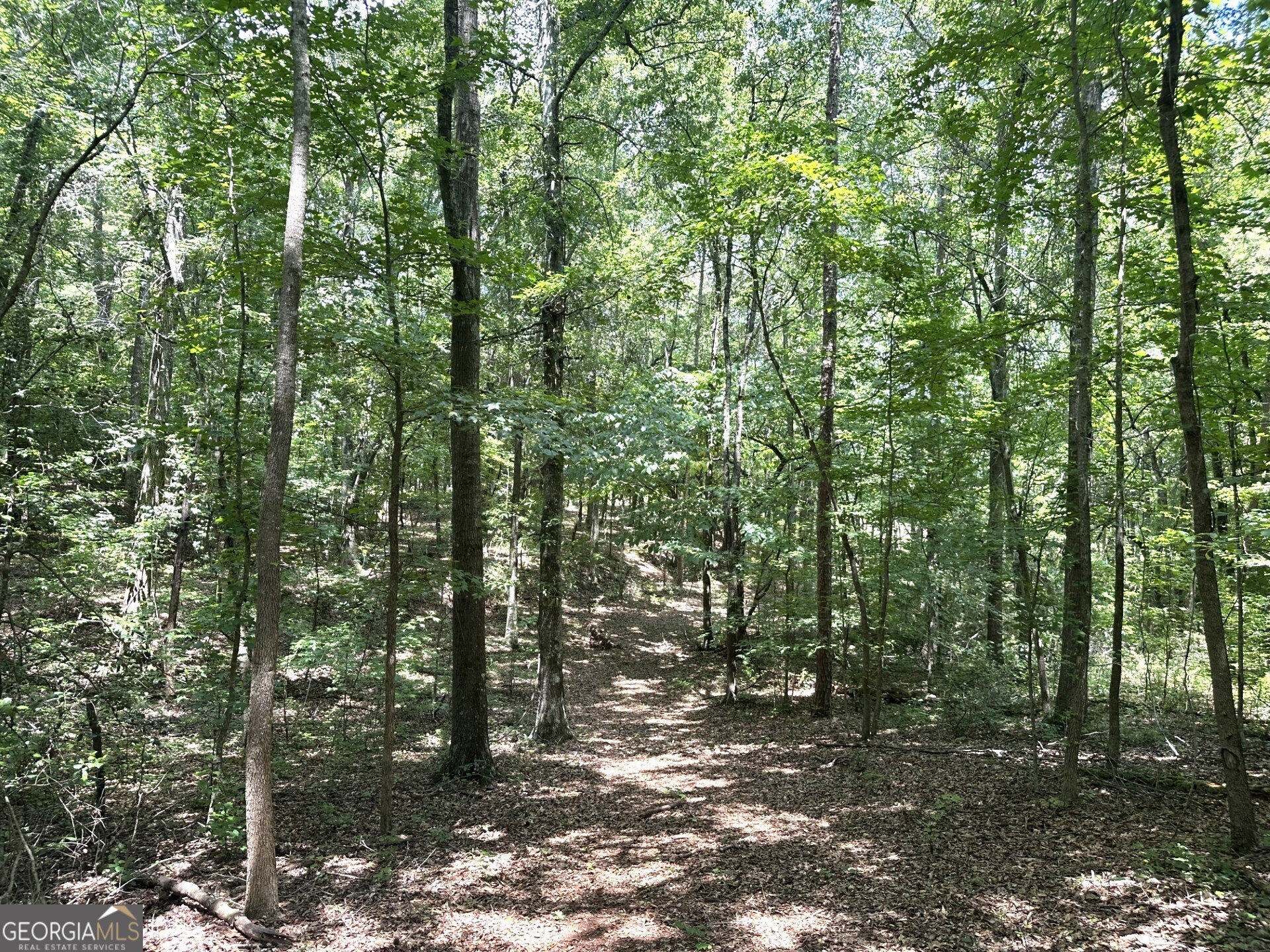 2200 Duffell Martin Comer GA 30629