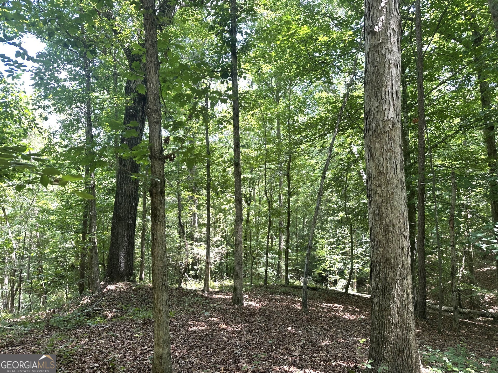 2200 Duffell Martin Comer GA 30629