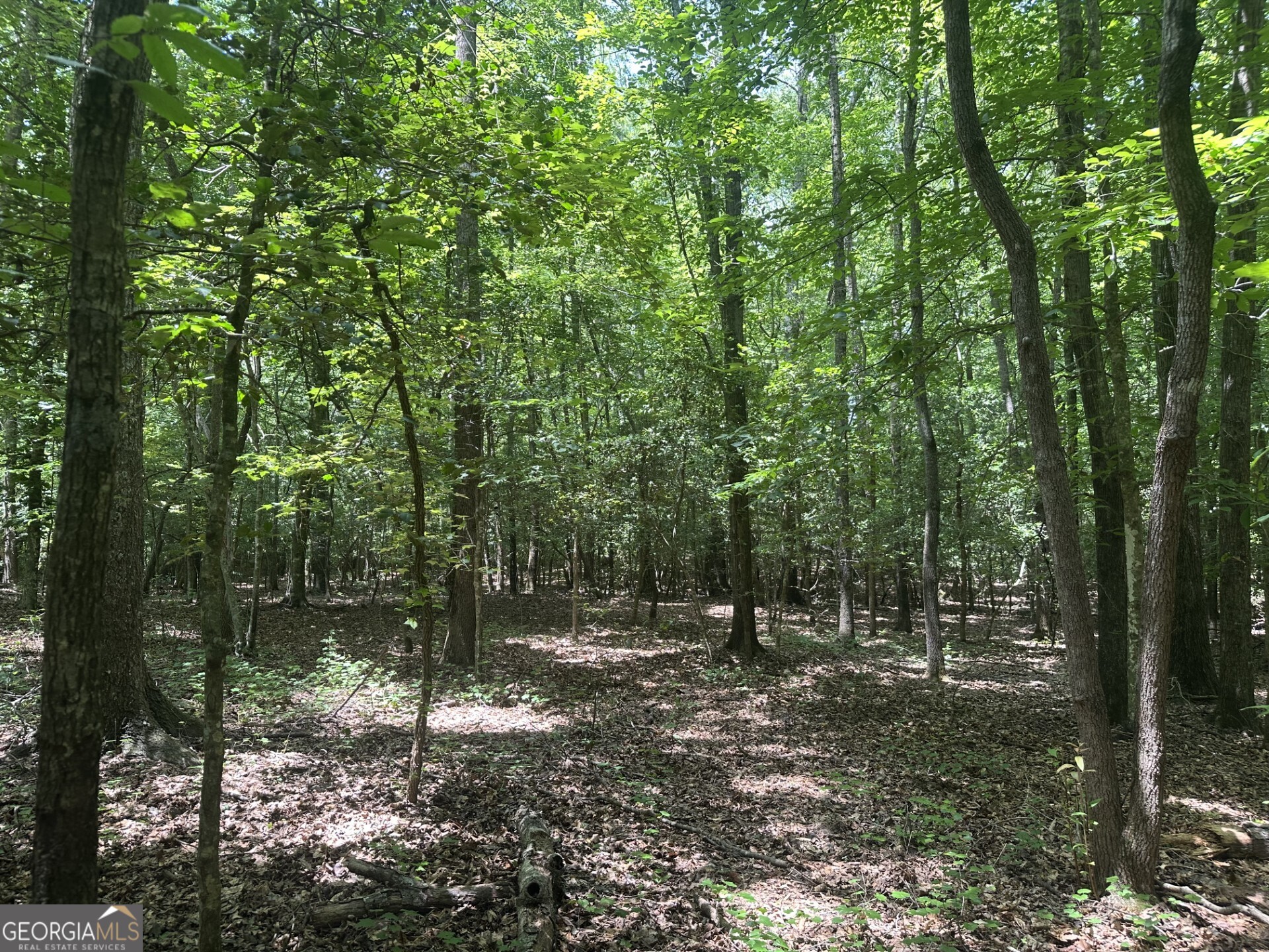 2200 Duffell Martin Comer GA 30629