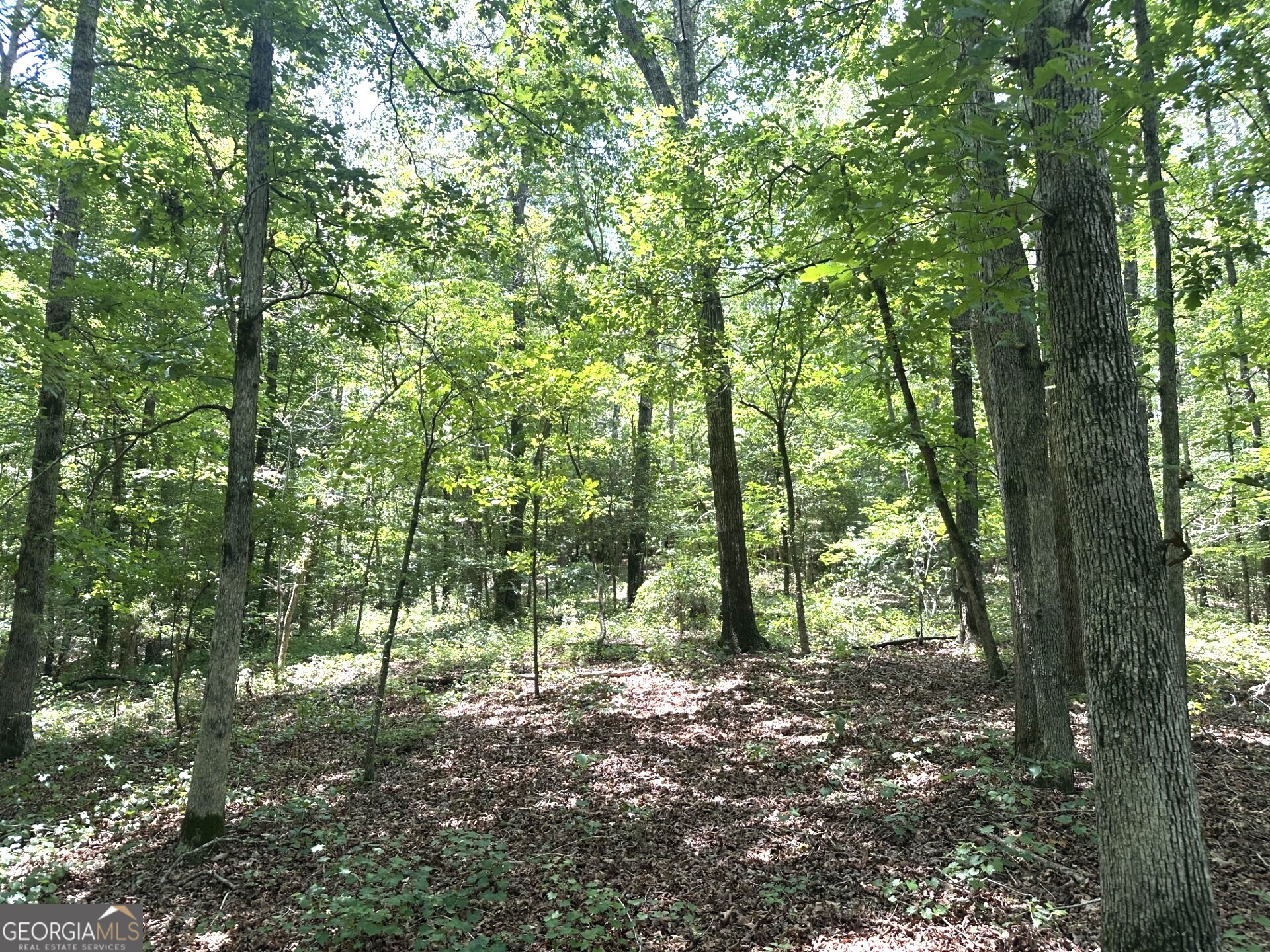2200 Duffell Martin Comer GA 30629