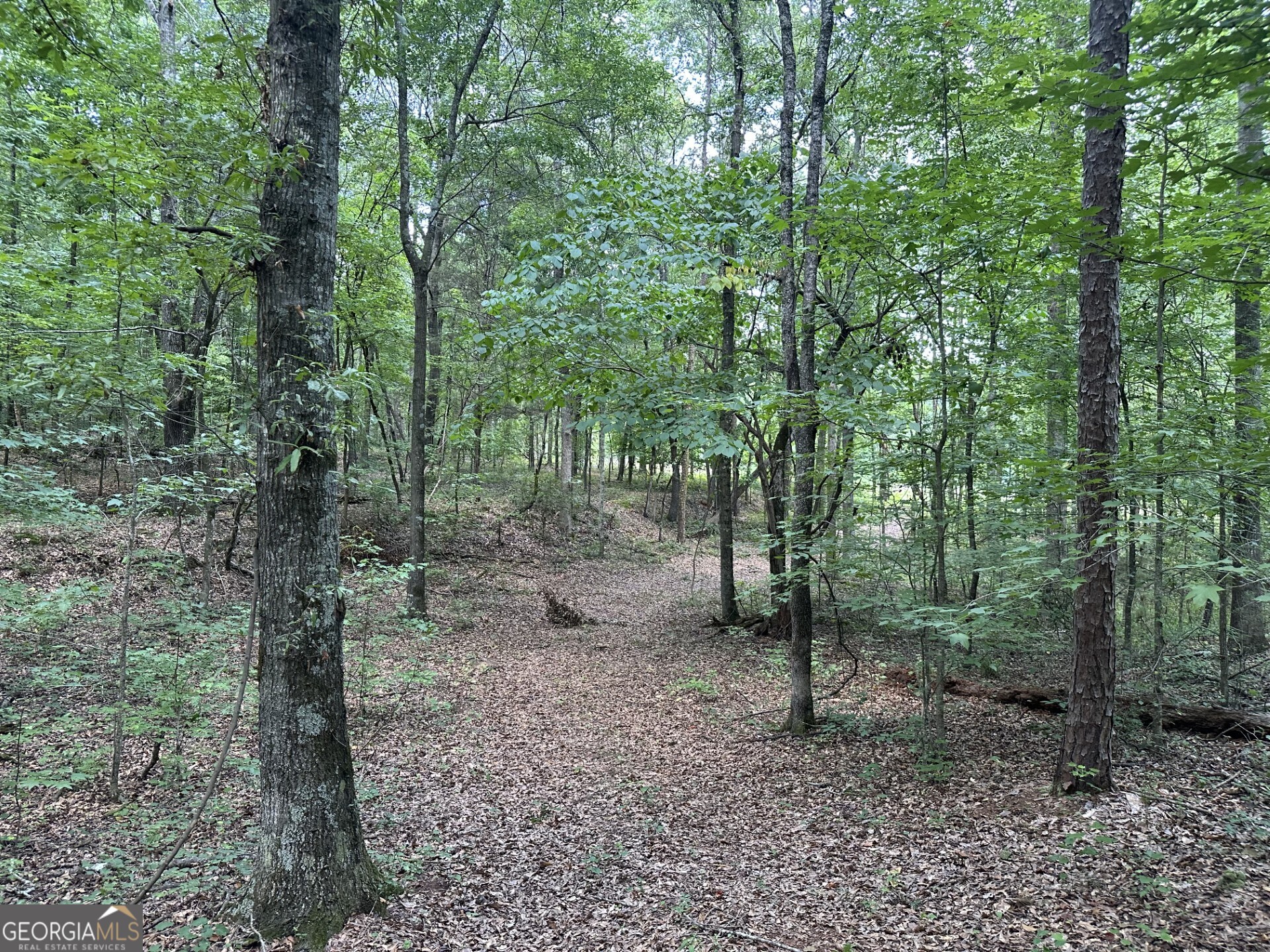 2200 Duffell Martin Comer GA 30629