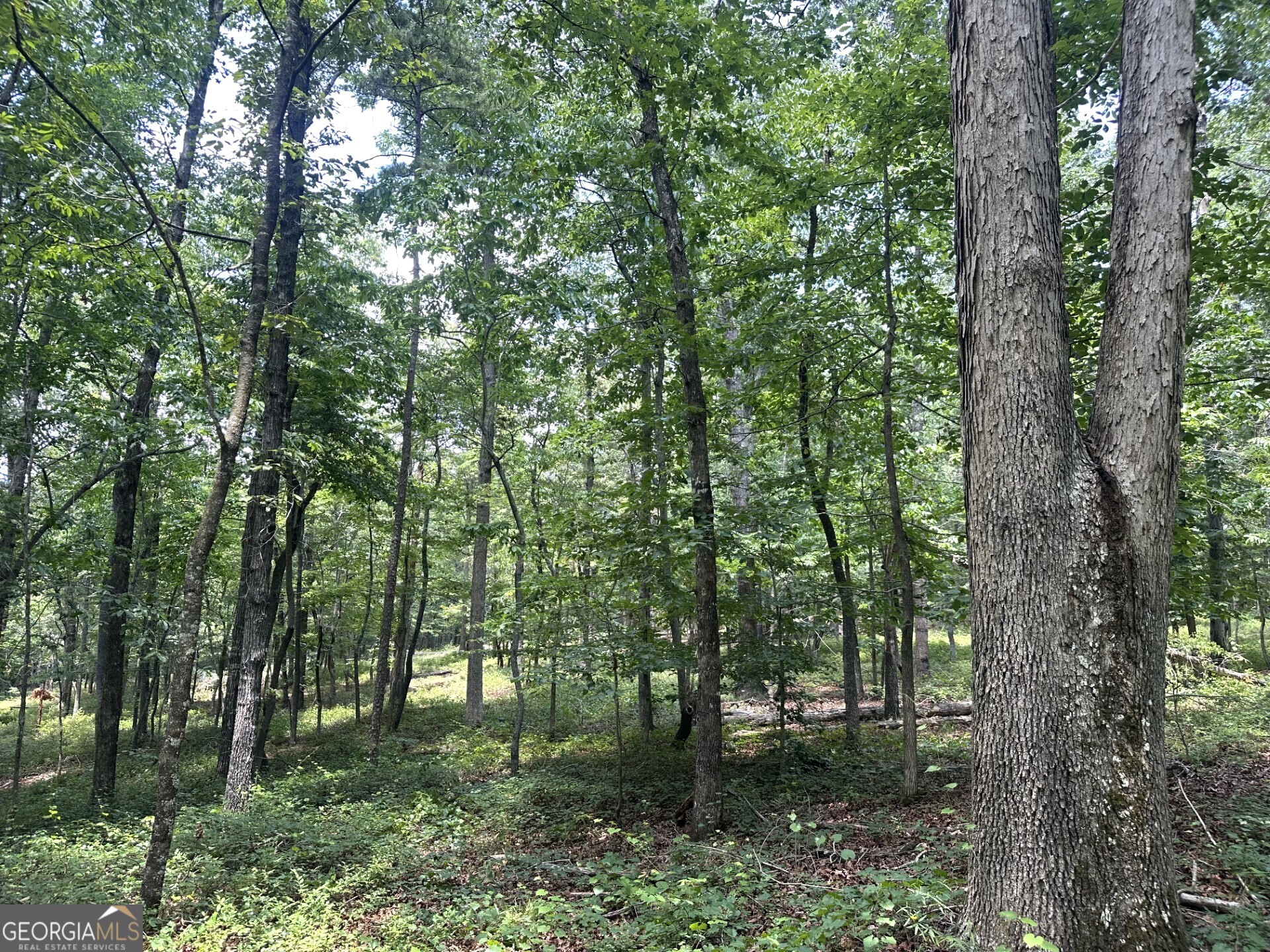 2200 Duffell Martin Comer GA 30629