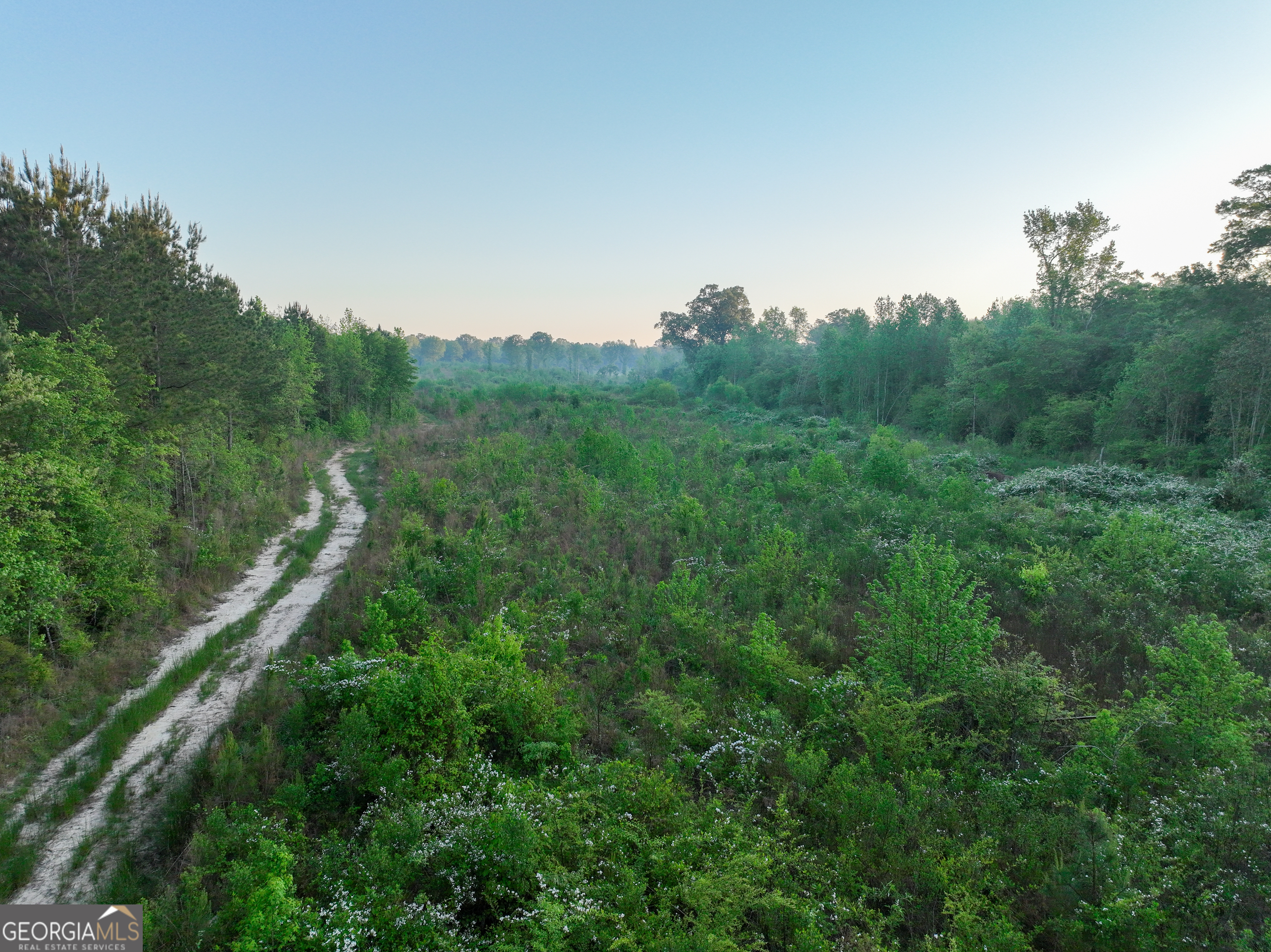 0 Zebulon Road Milner GA 30257