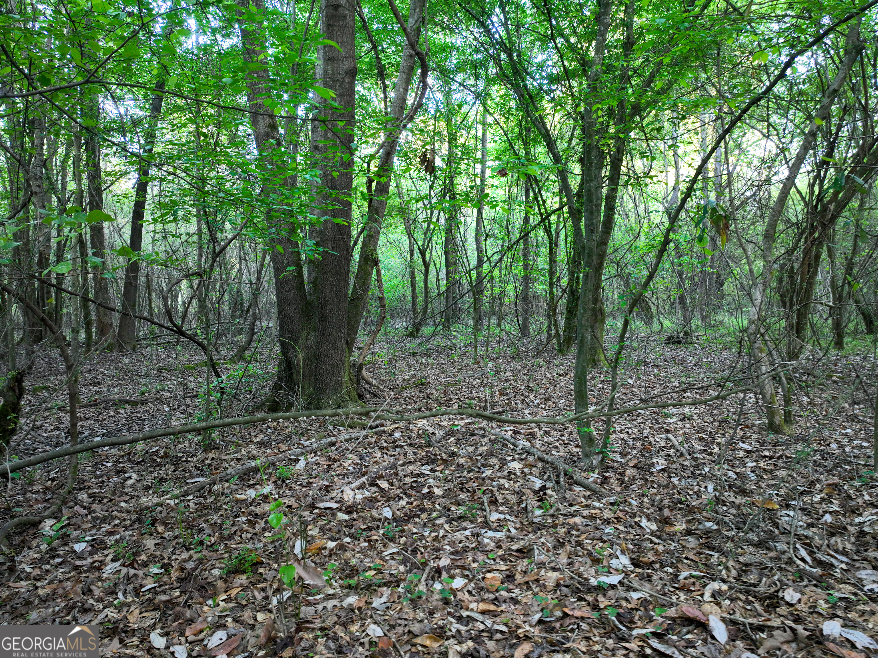 0 Zebulon Road Milner GA 30257