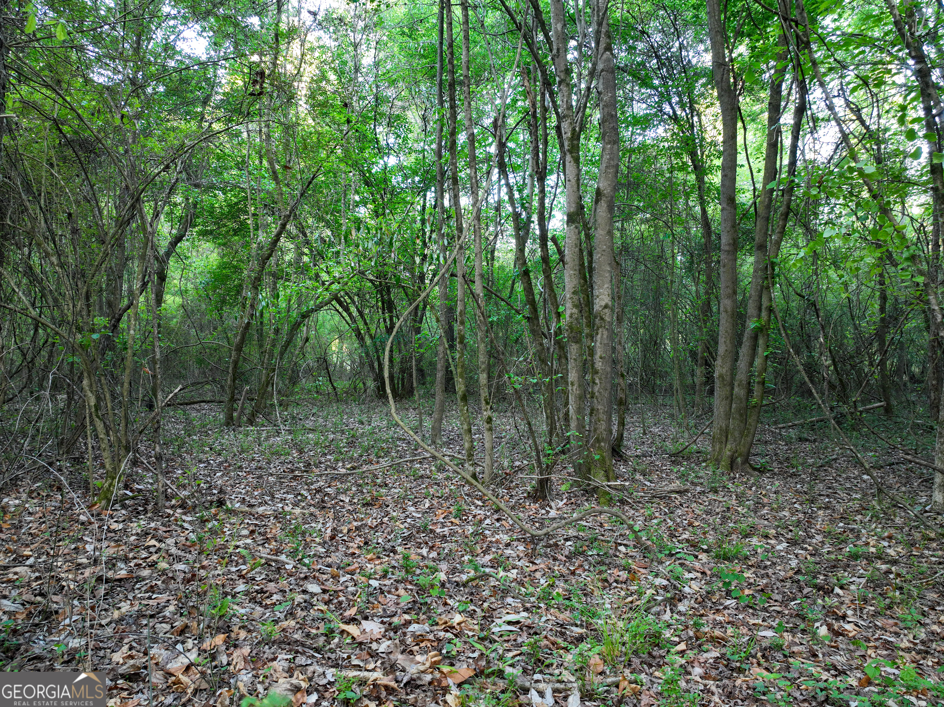 0 Zebulon Road Milner GA 30257