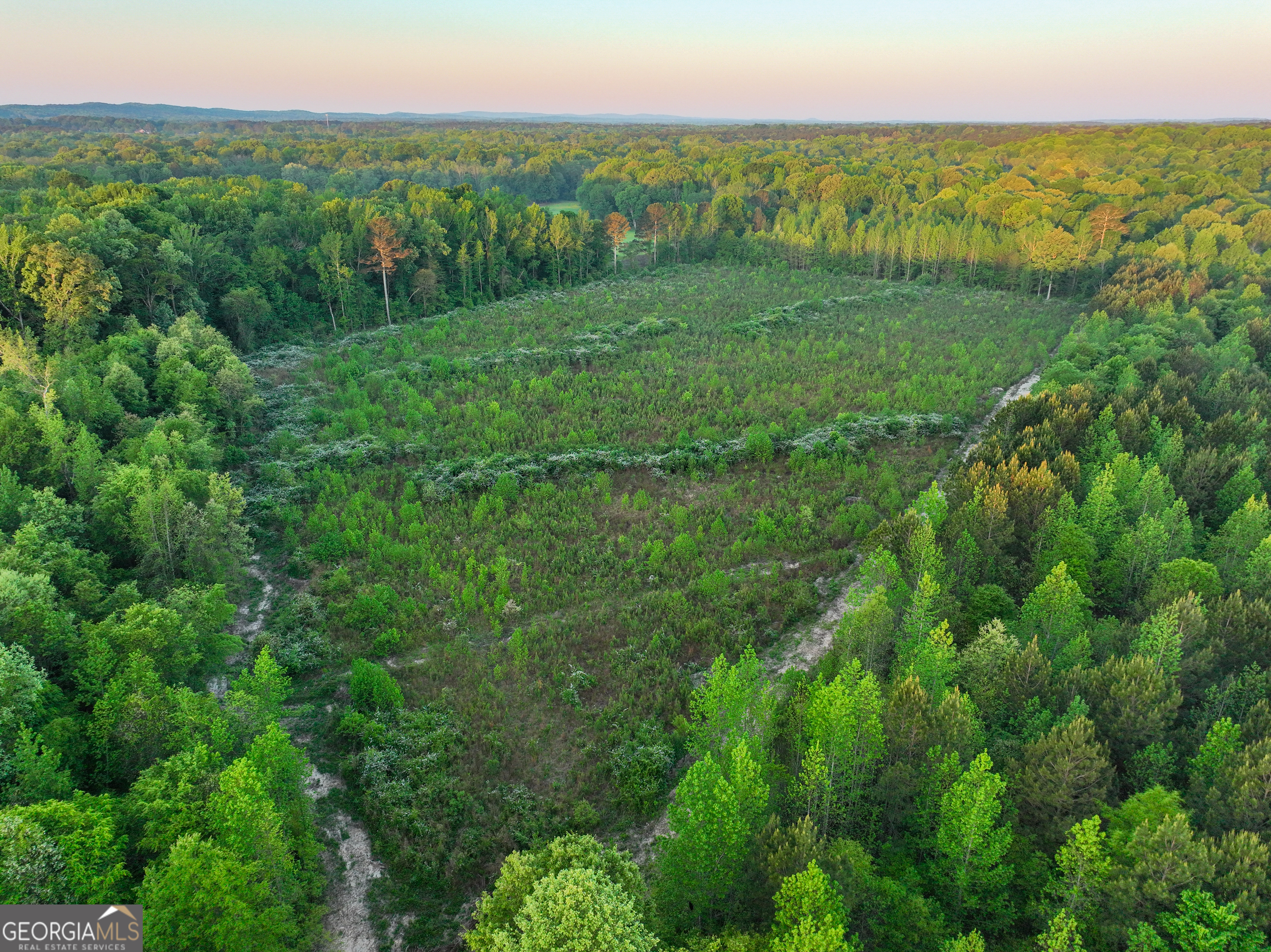 0 Zebulon Road Milner GA 30257