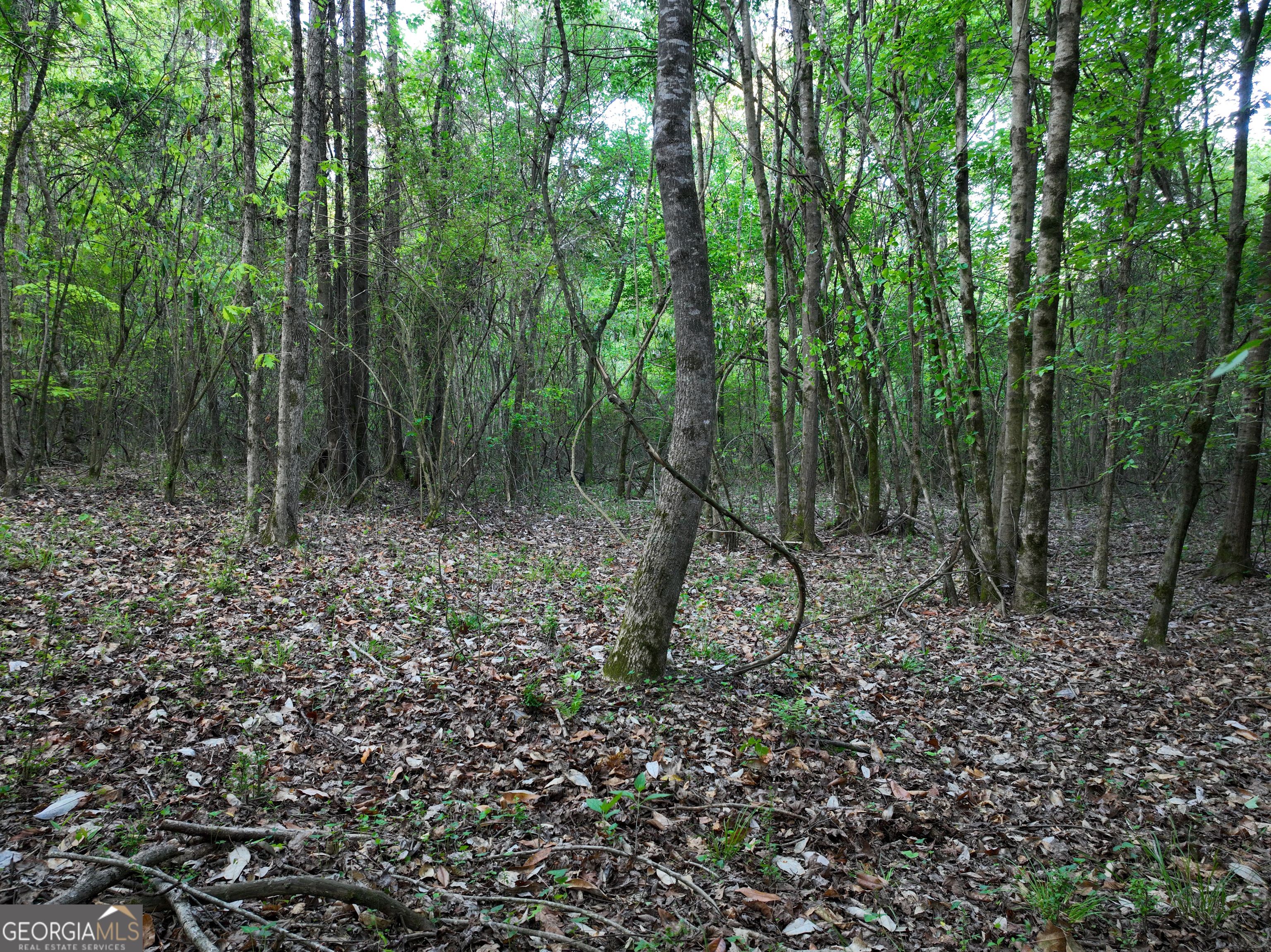0 Zebulon Road Milner GA 30257