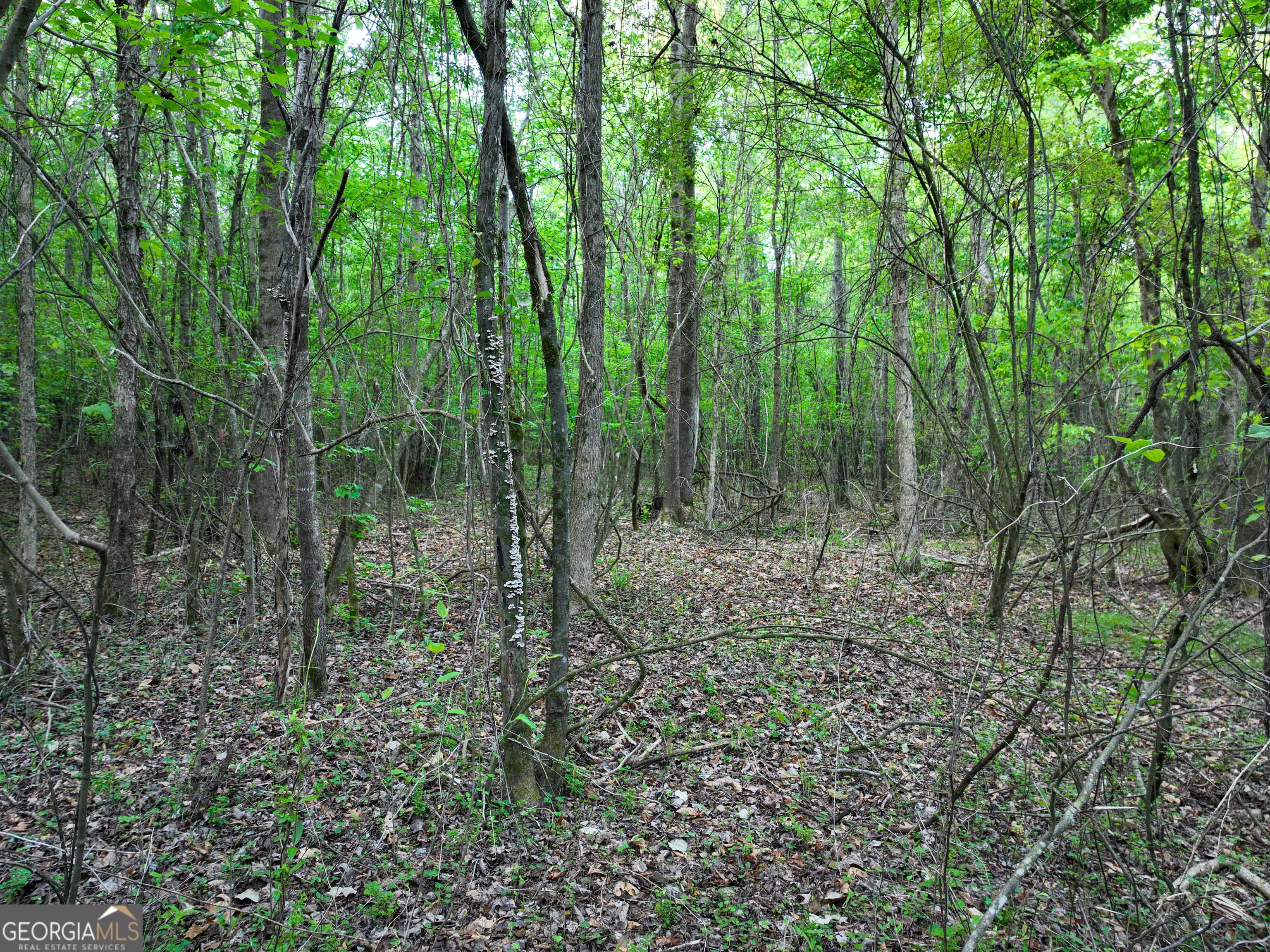 0 Zebulon Road Milner GA 30257
