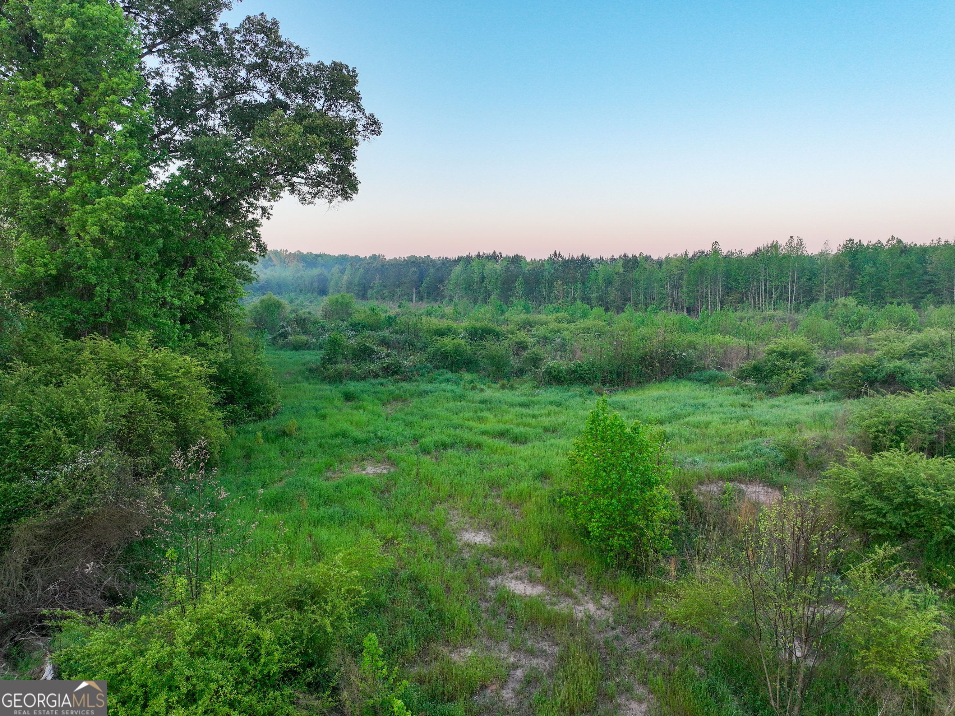 0 Zebulon Road Milner GA 30257