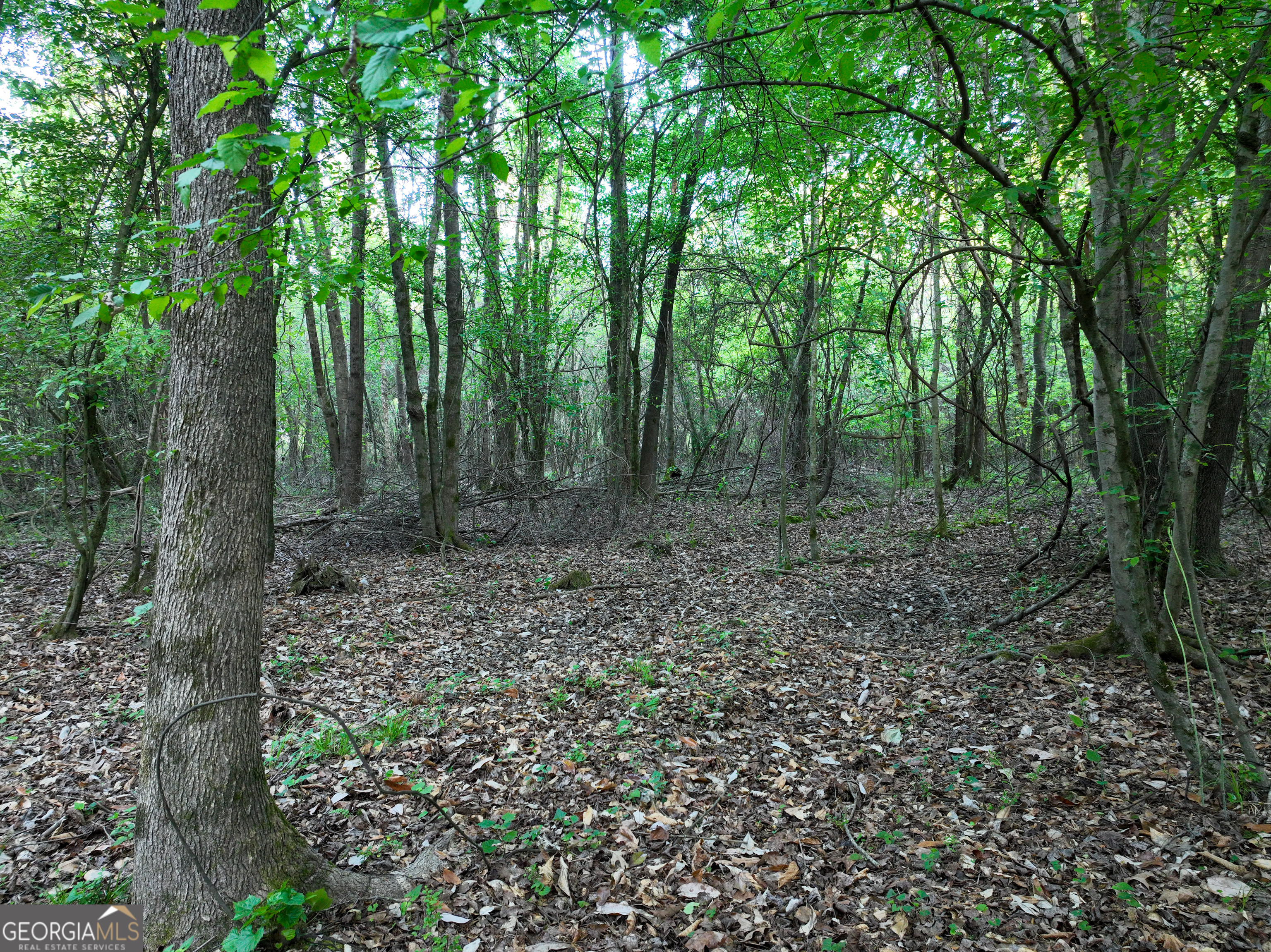 0 Zebulon Road Milner GA 30257