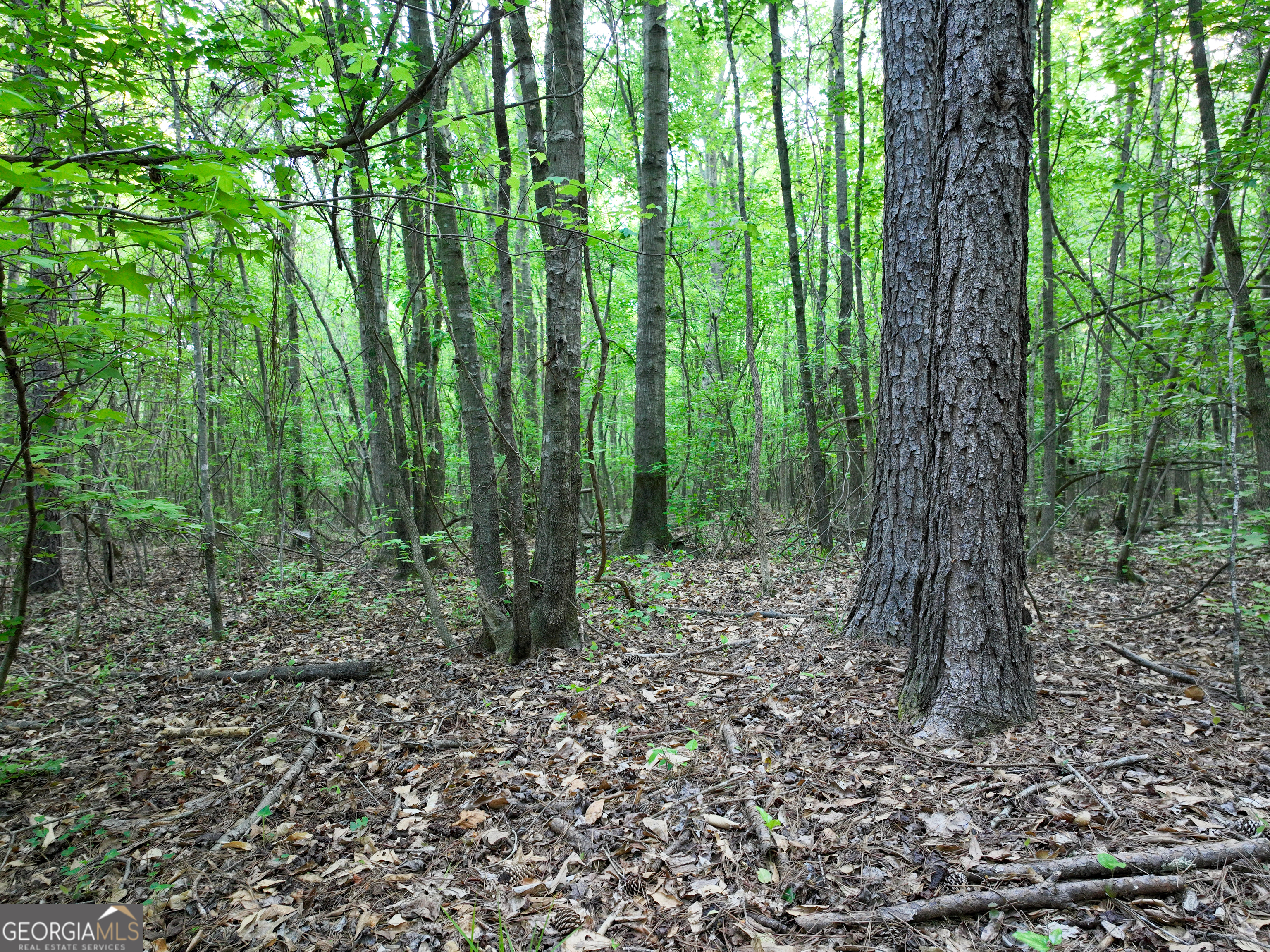 0 Zebulon Road Milner GA 30257