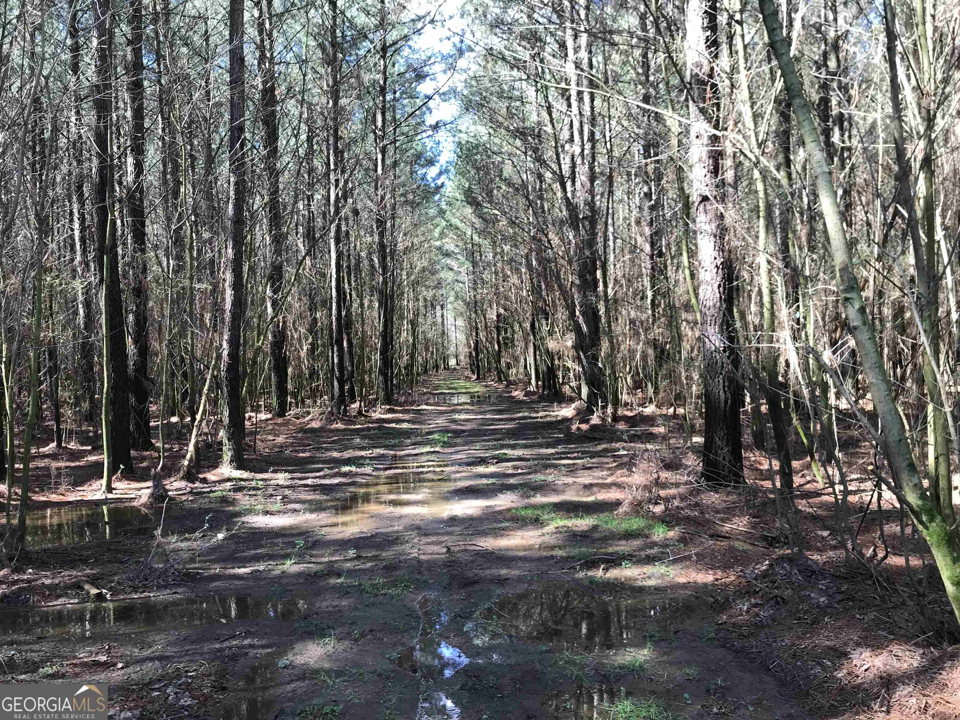0 Covington Bridge Road Calhoun GA 30701