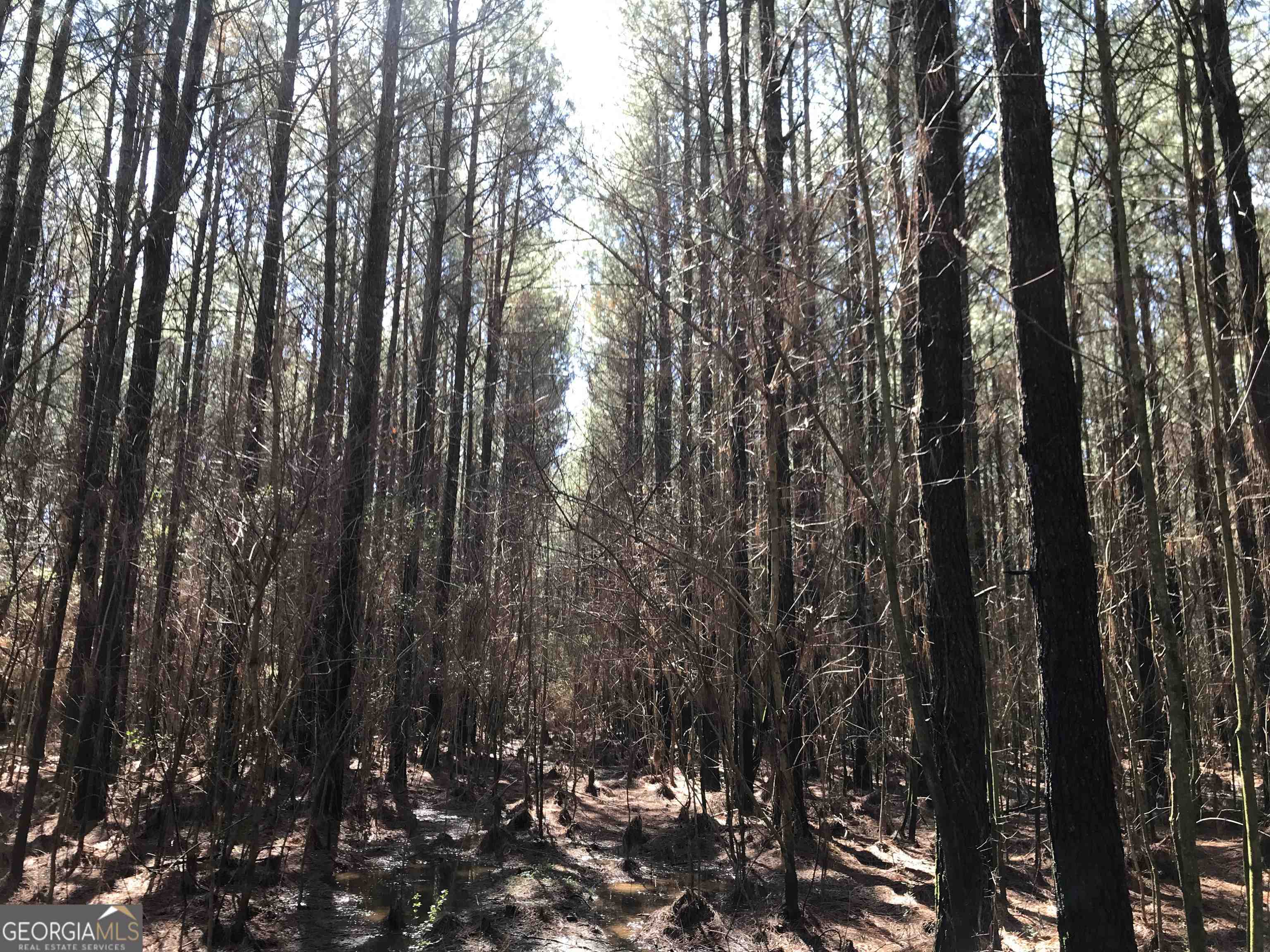 0 Covington Bridge Road Calhoun GA 30701