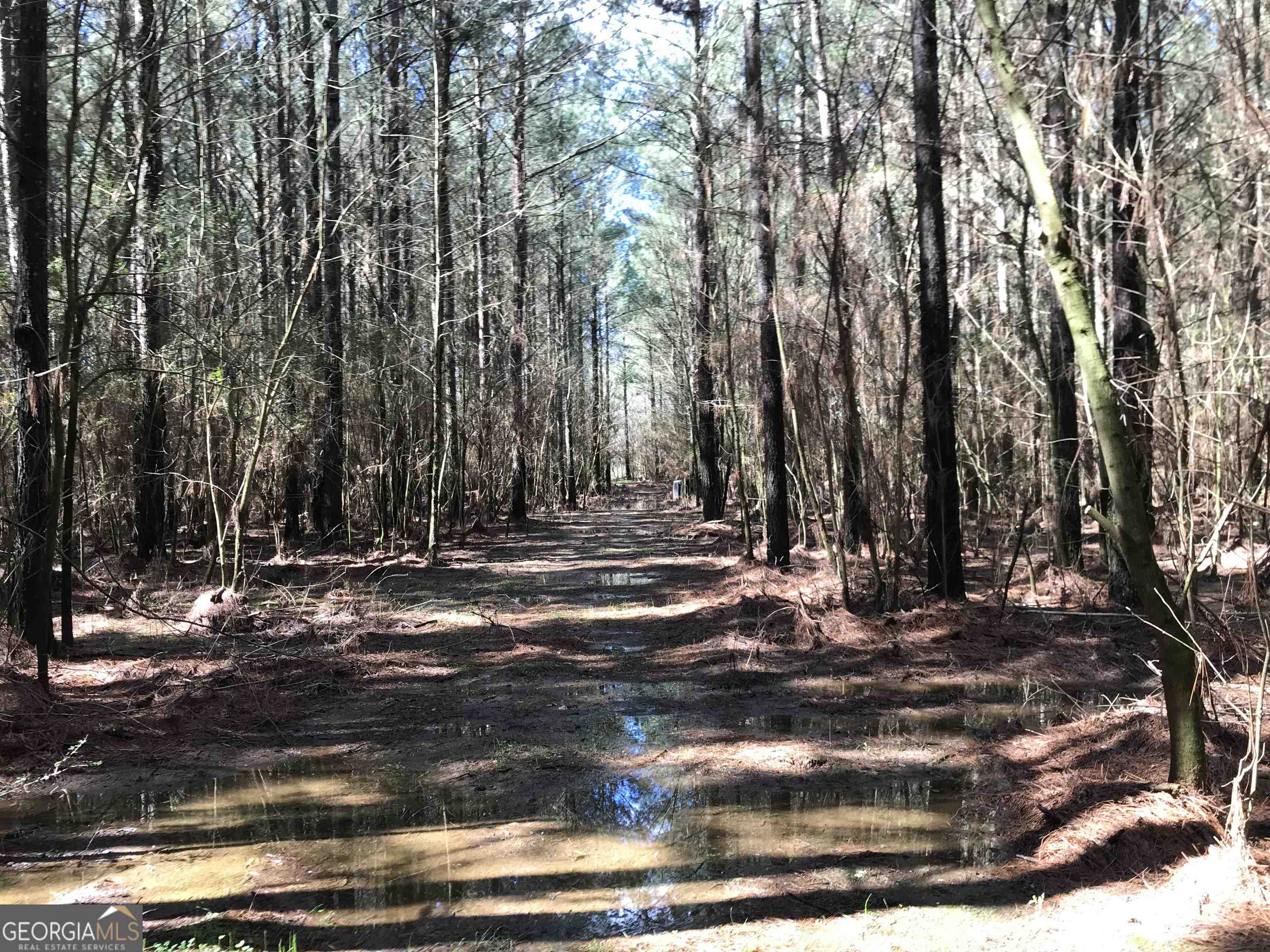 0 Covington Bridge Road Calhoun GA 30701