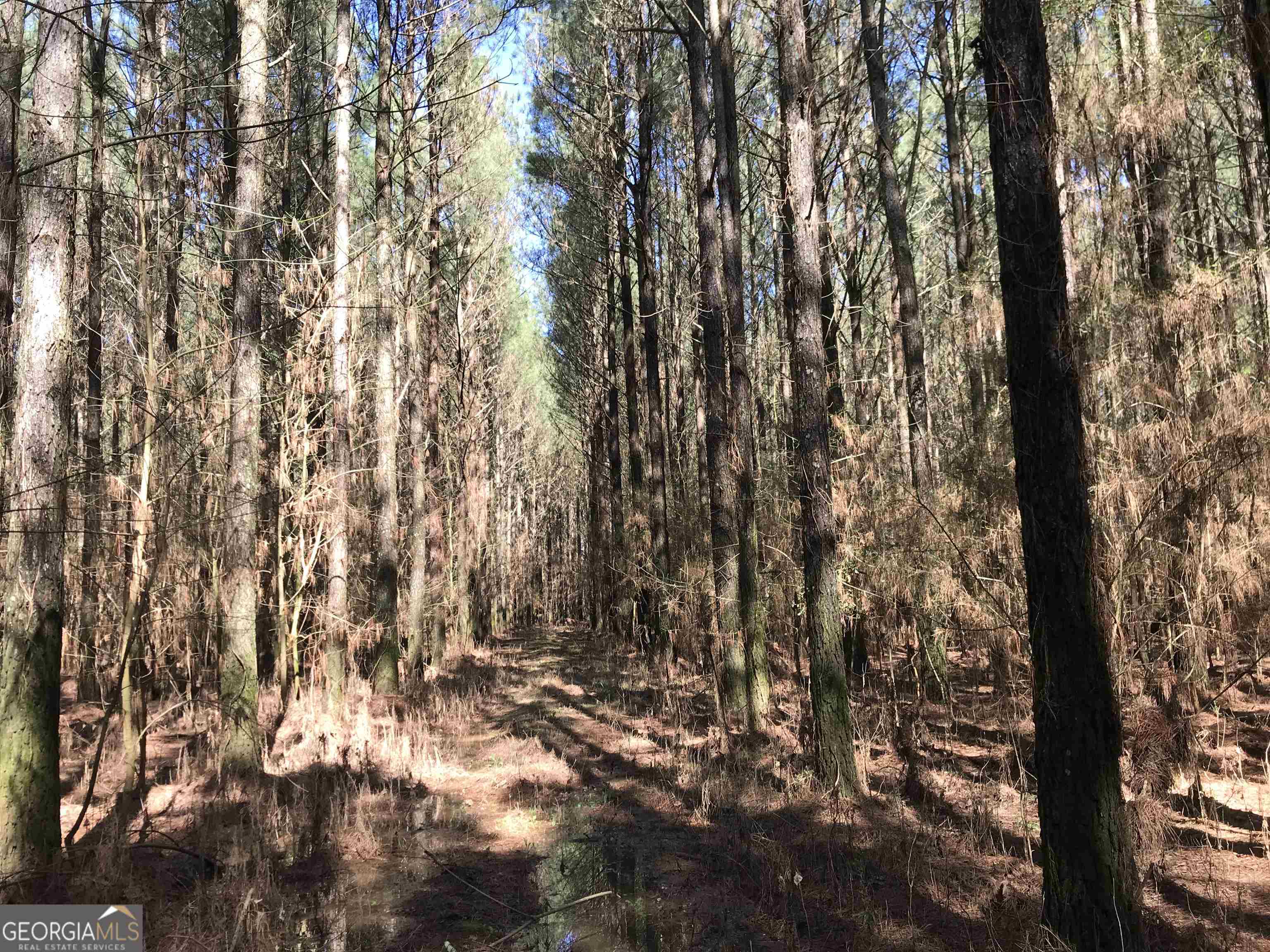 0 Covington Bridge Road Calhoun GA 30701