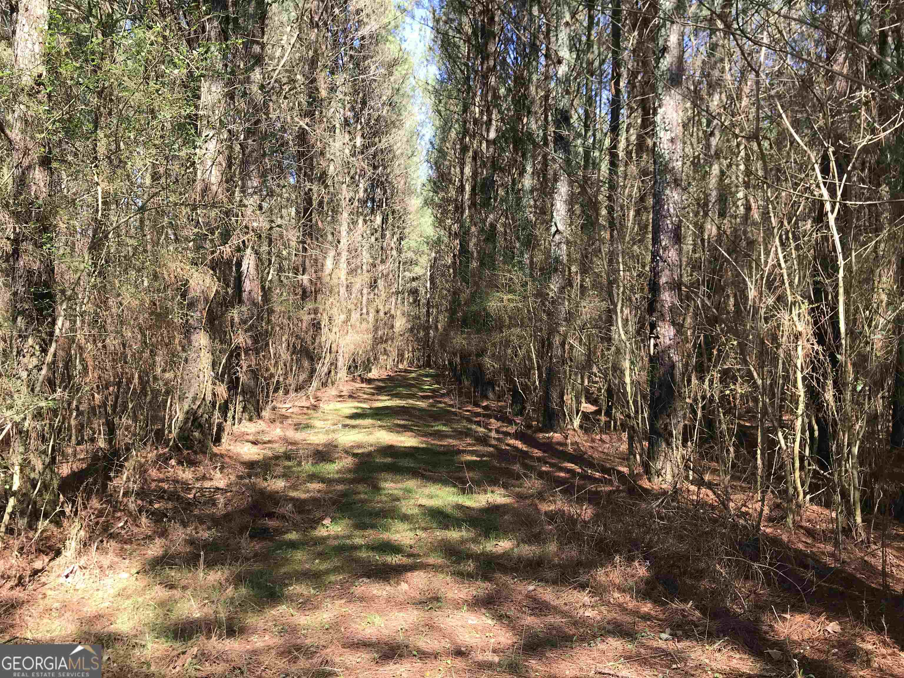 0 Covington Bridge Road Calhoun GA 30701