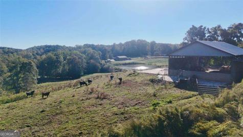 0 Porter Springs Road Dahlonega GA 30533
