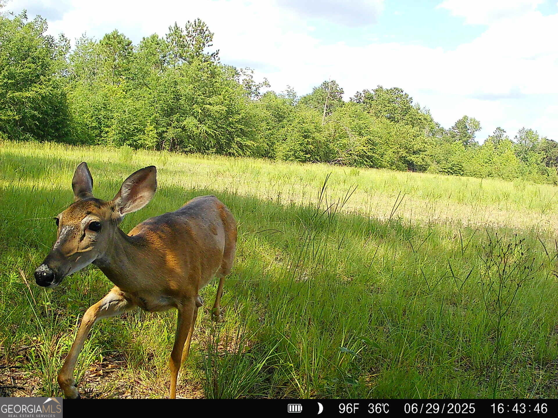 1110 Ga-88 Blythe GA 30805