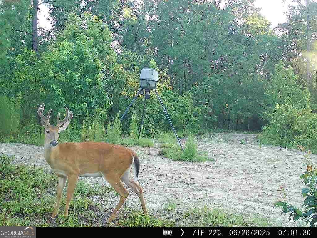 1110 Ga-88 Blythe GA 30805