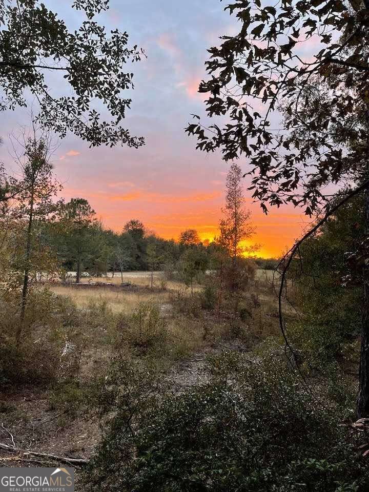 1110 Ga-88 Blythe GA 30805