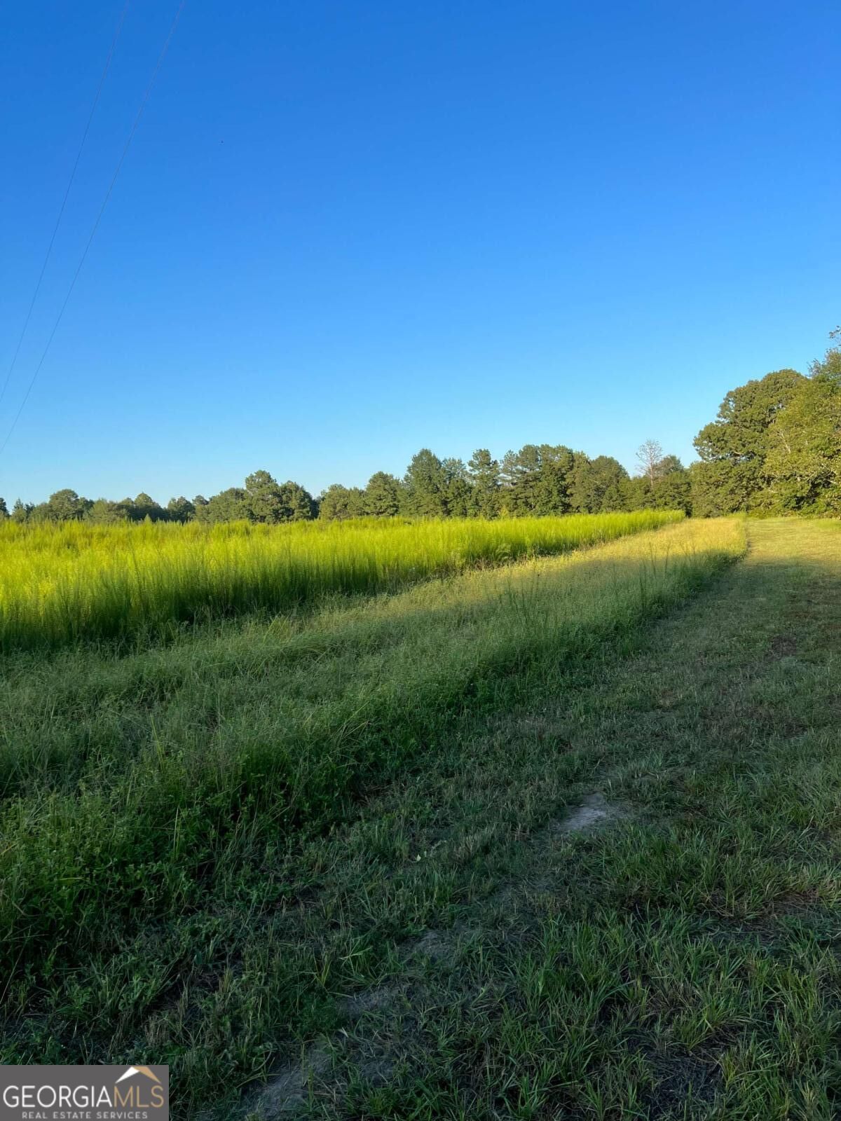 1110 Ga-88 Blythe GA 30805