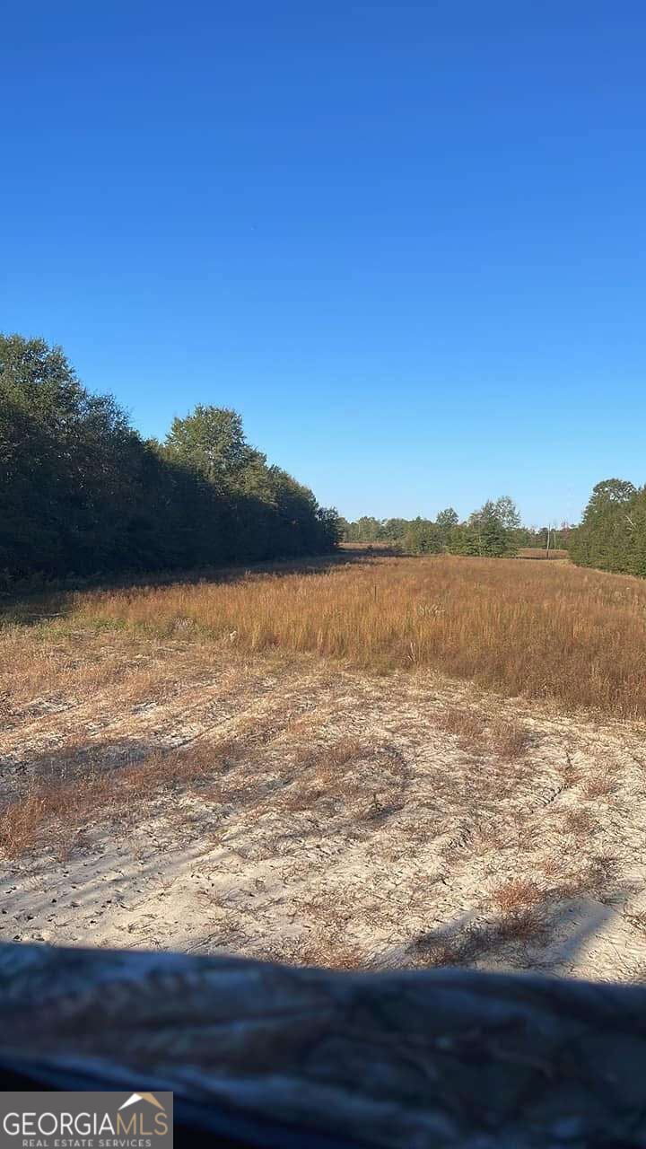 1110 Ga-88 Blythe GA 30805