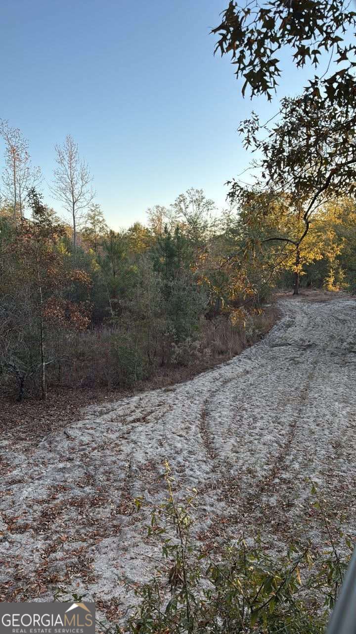 1110 Ga-88 Blythe GA 30805