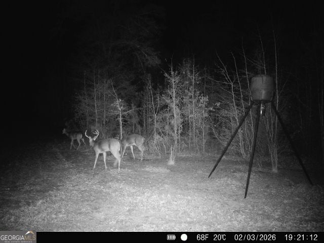 1110 Ga-88 Blythe GA 30805