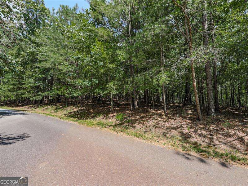 140 Joe Green Lane Canton GA 30114