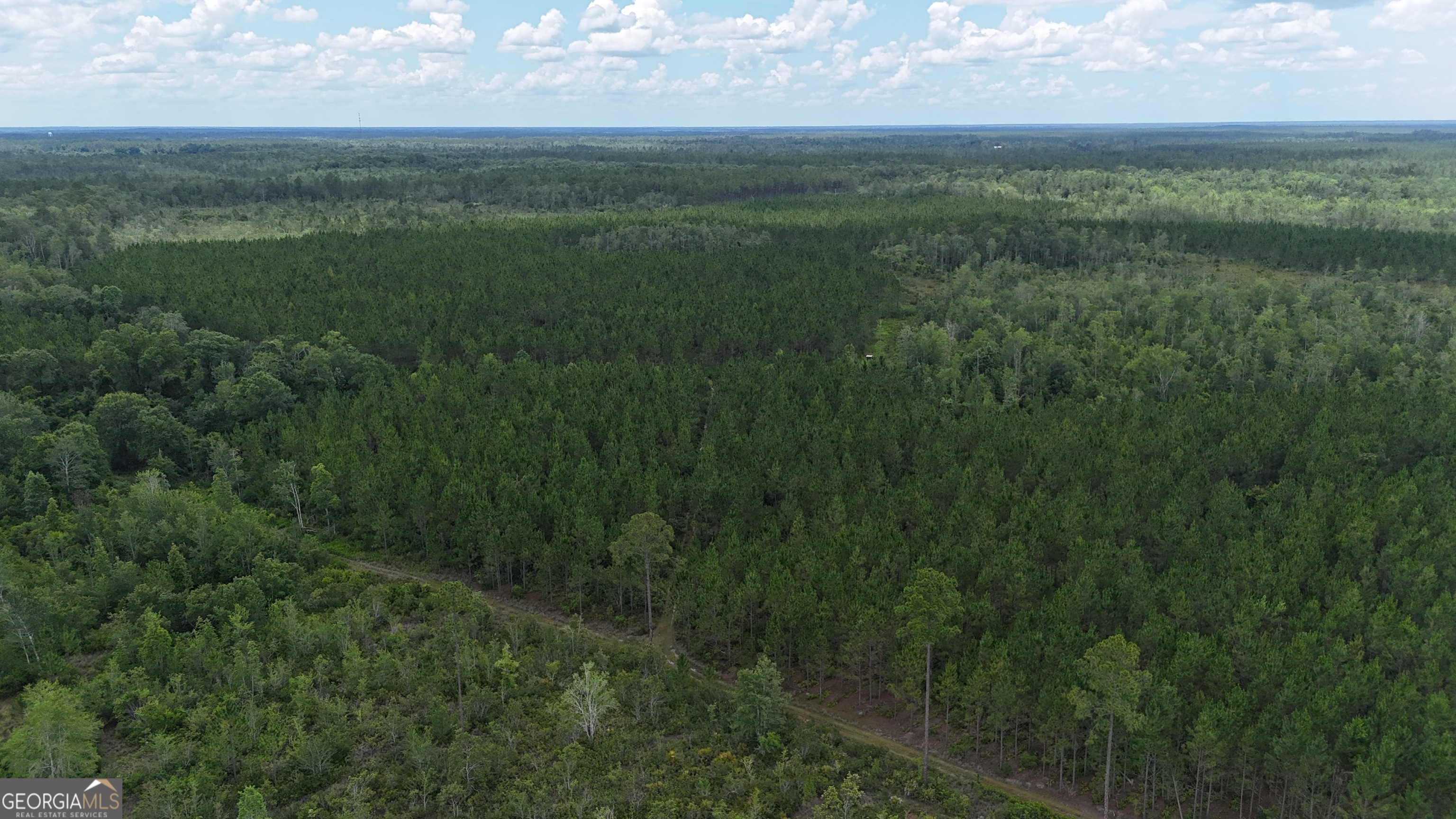 0 Fire Tower Road Manor GA 31550