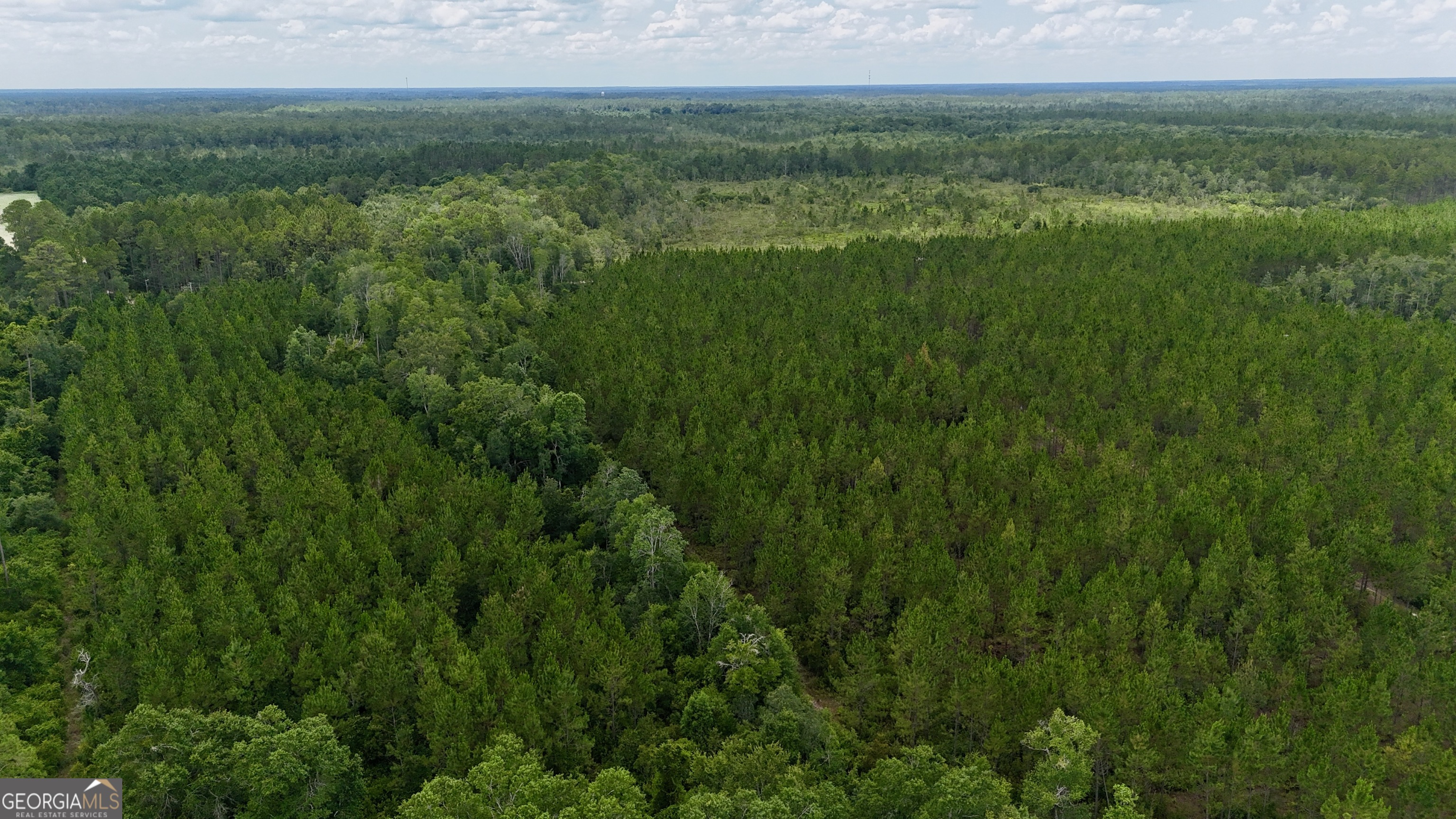 0 Fire Tower Road Manor GA 31550