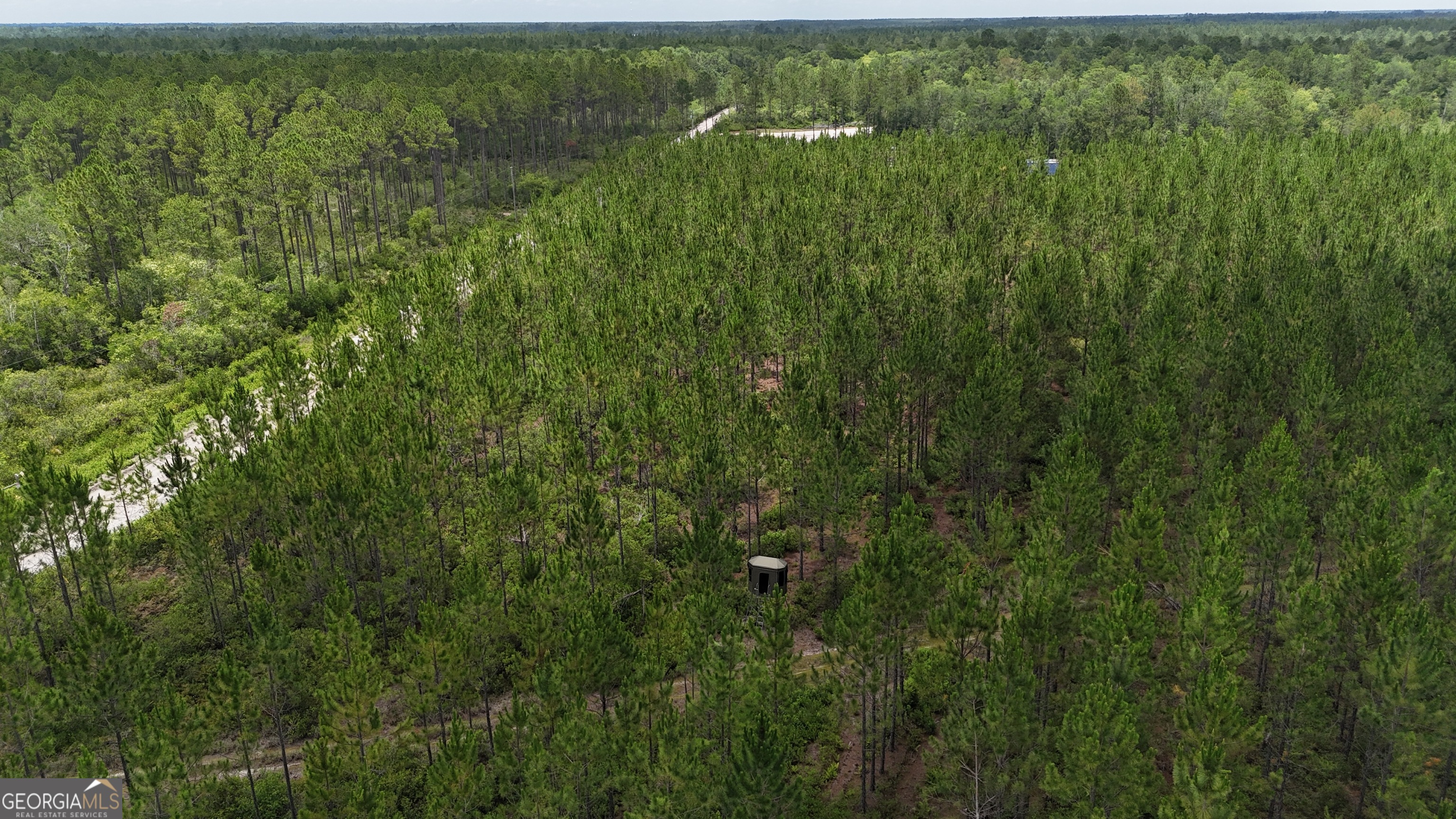 0 Fire Tower Road Manor GA 31550