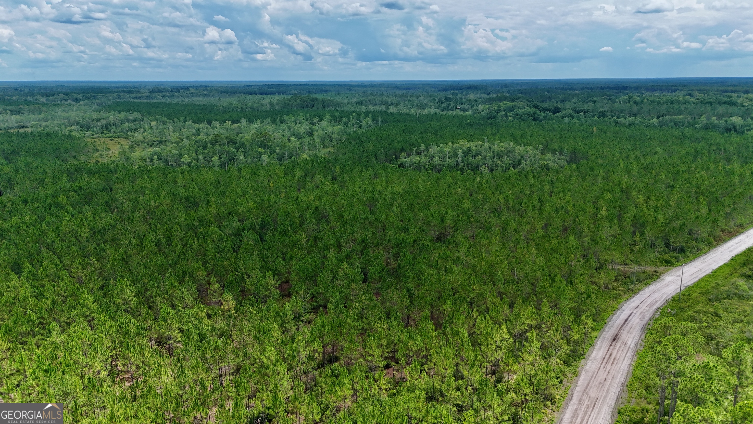 0 Fire Tower Road Manor GA 31550