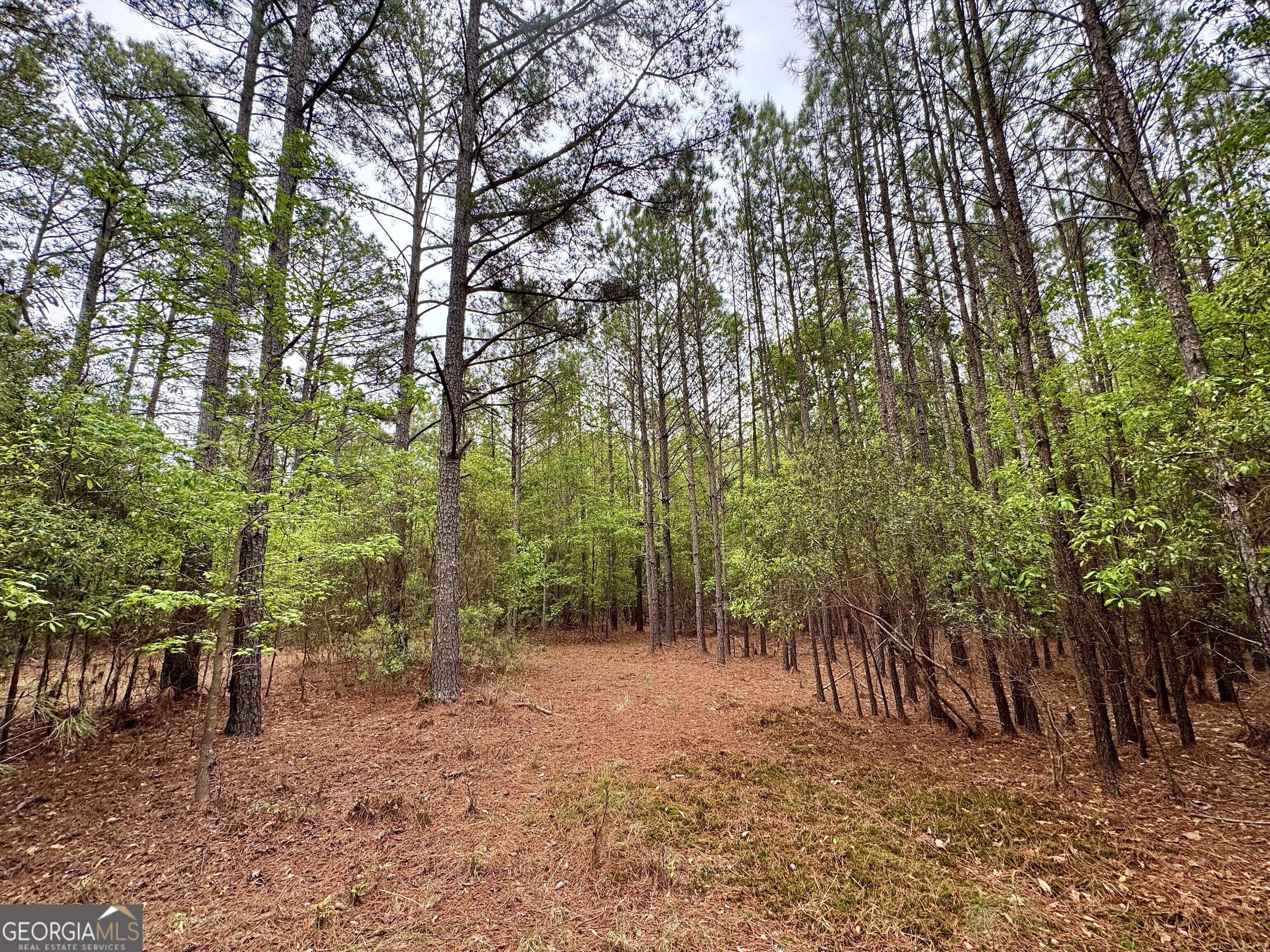 1085 Roy Lawrence Road Sparta GA 31087