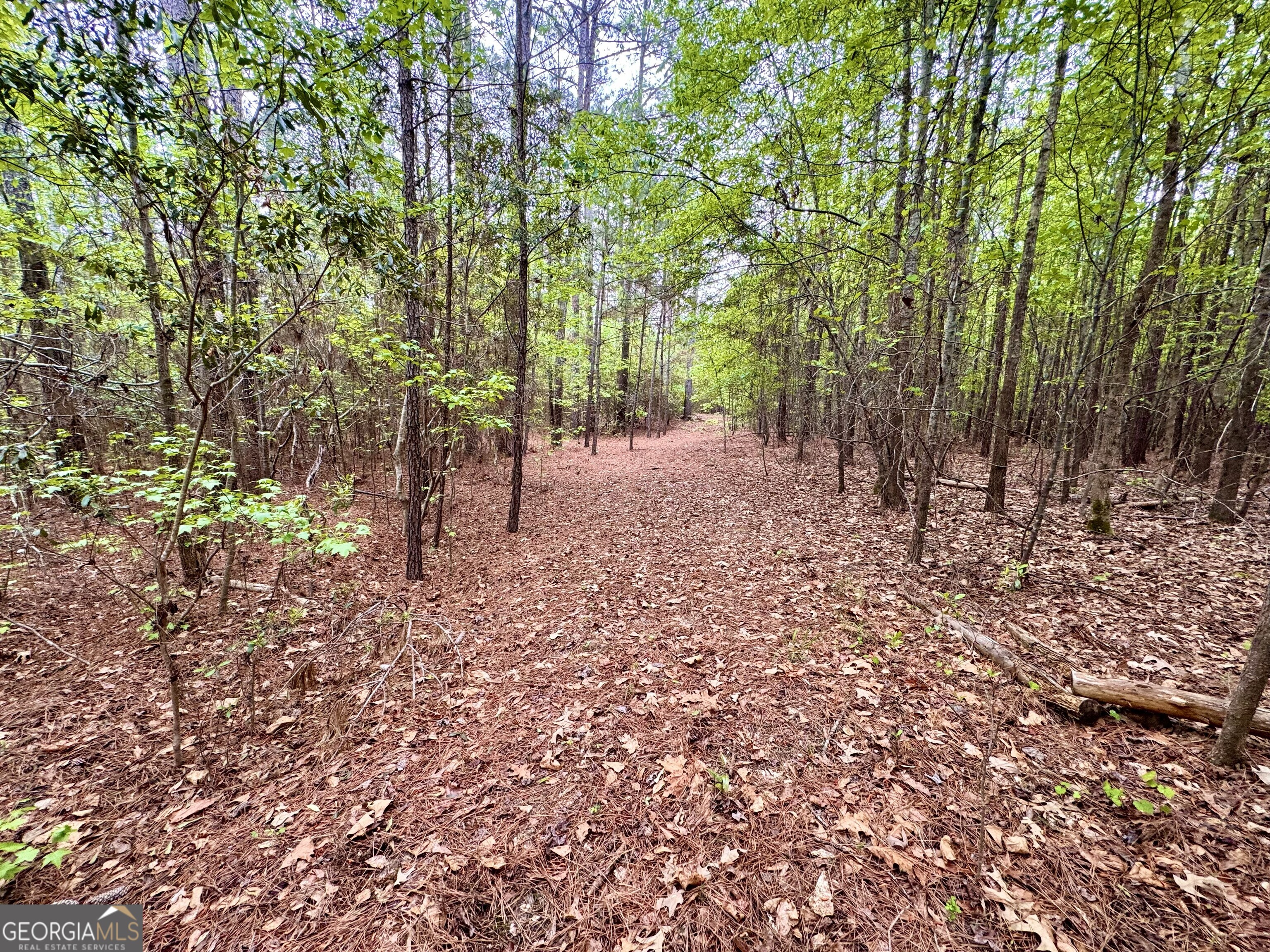 1085 Roy Lawrence Road Sparta GA 31087