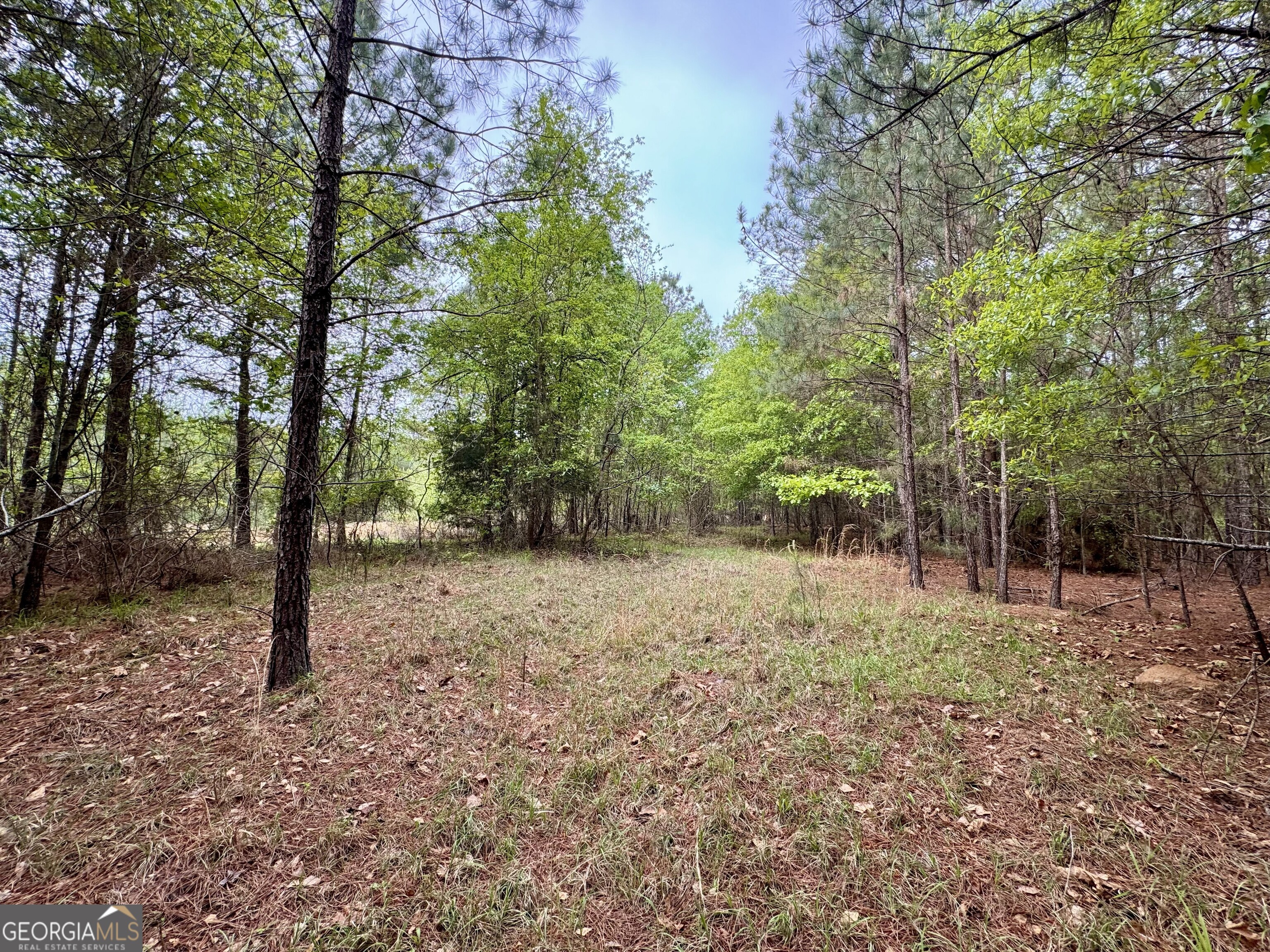 1085 Roy Lawrence Road Sparta GA 31087