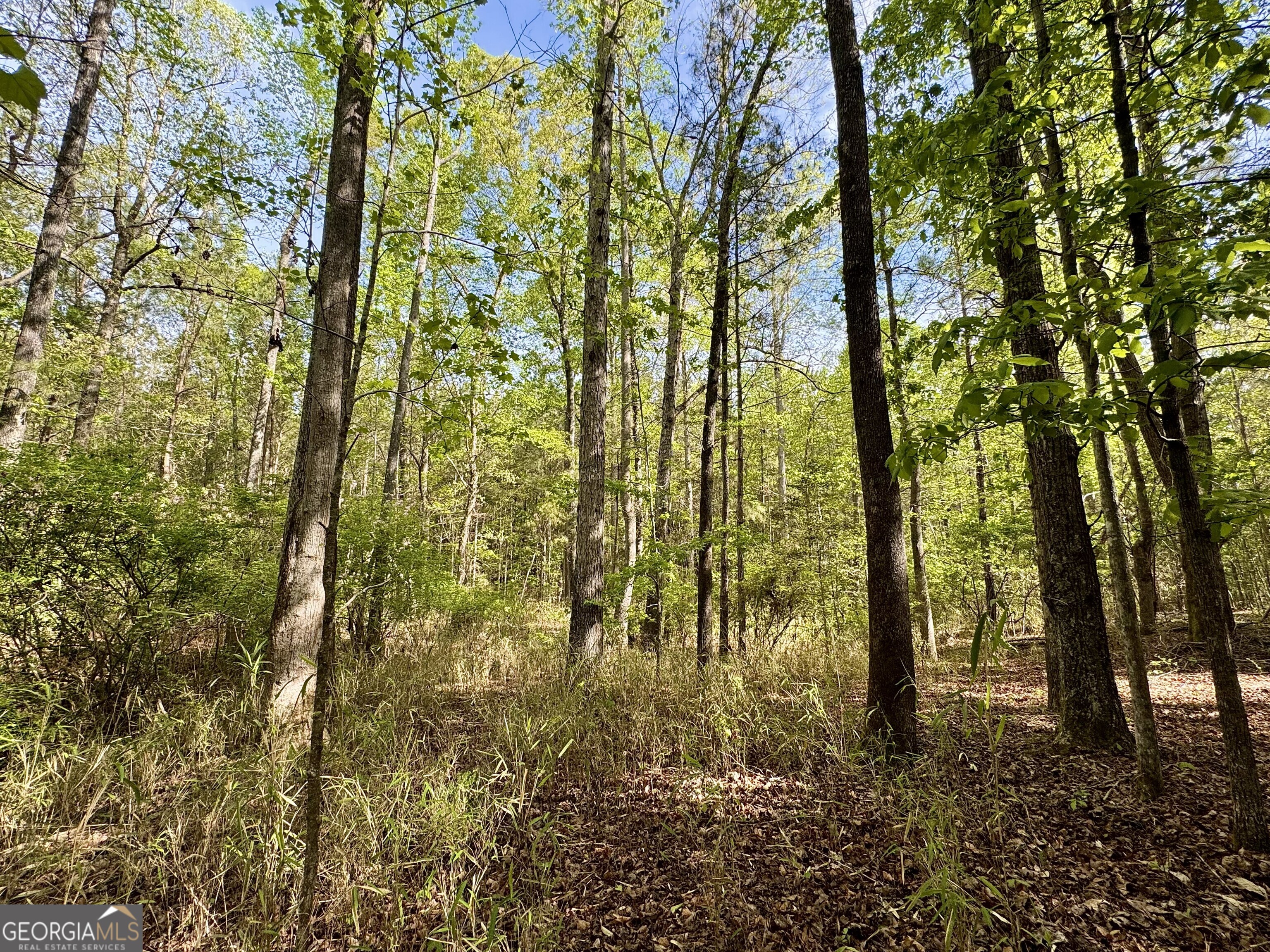 1085 Roy Lawrence Road Sparta GA 31087