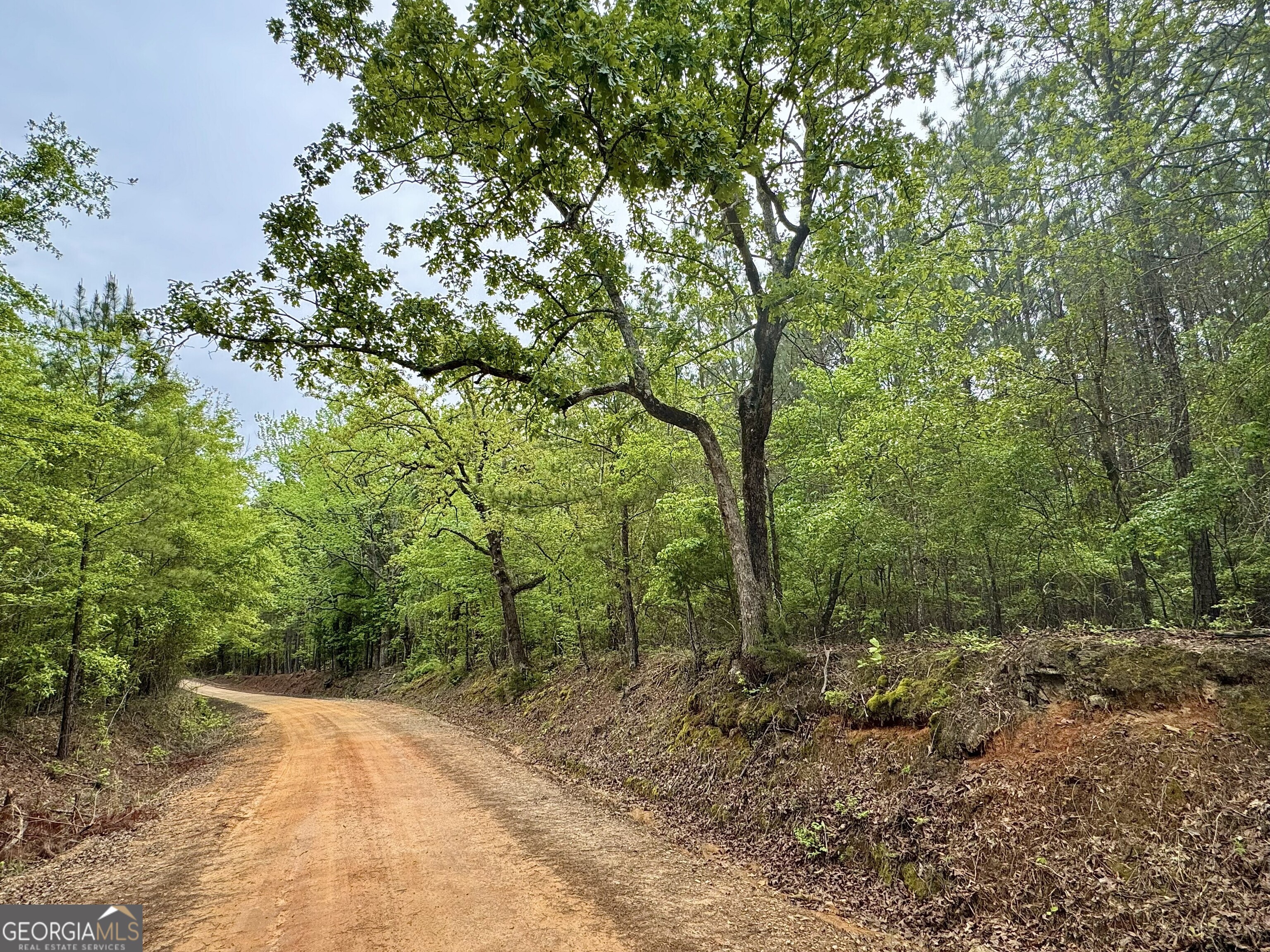 1085 Roy Lawrence Road Sparta GA 31087