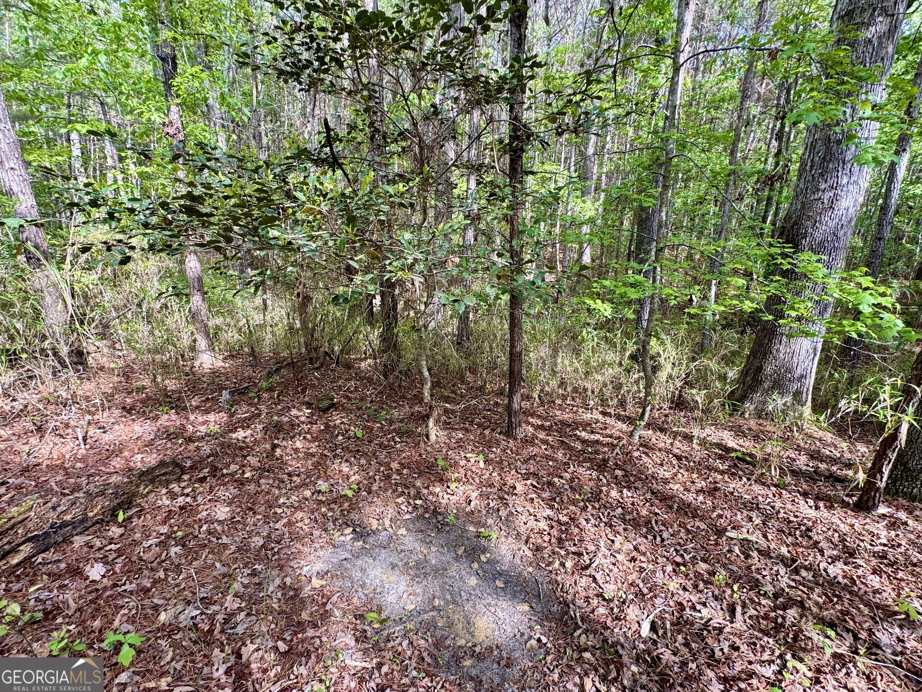 1085 Roy Lawrence Road Sparta GA 31087