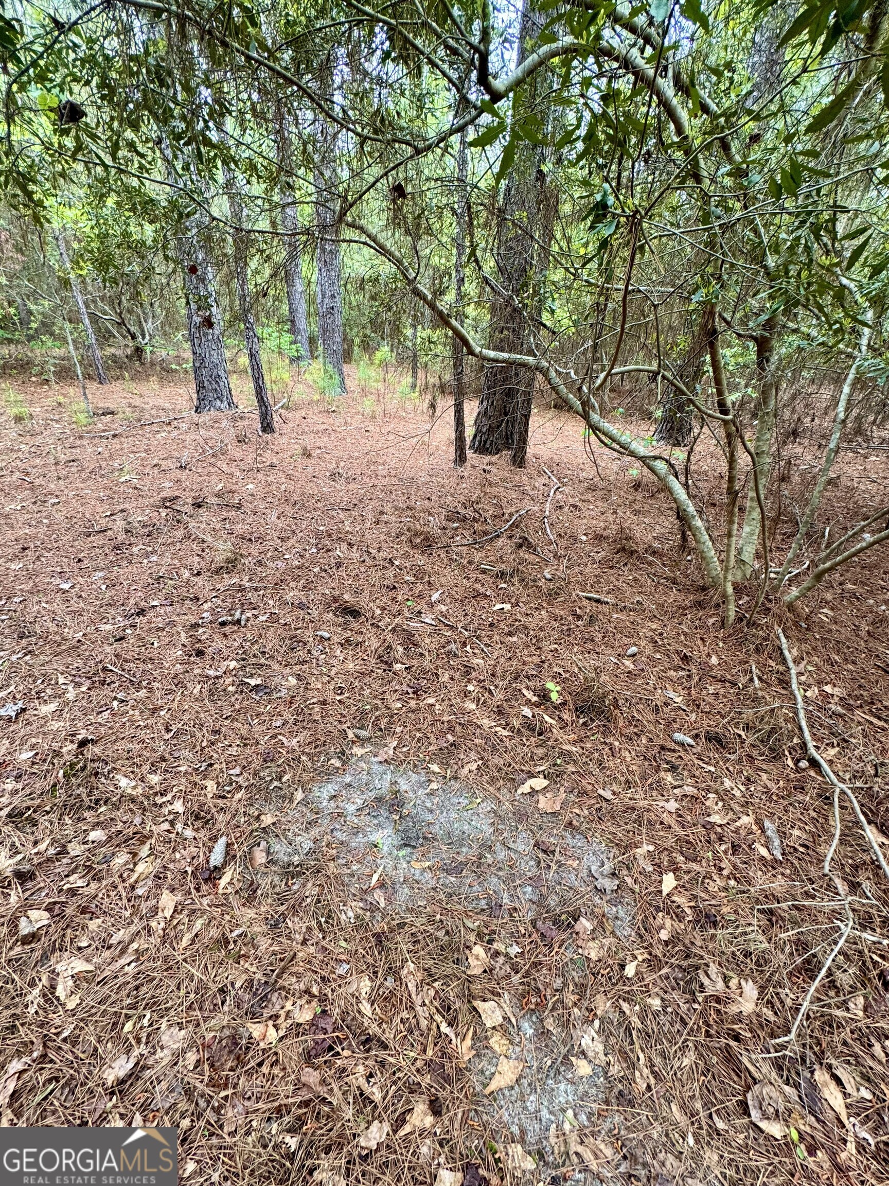 1085 Roy Lawrence Road Sparta GA 31087