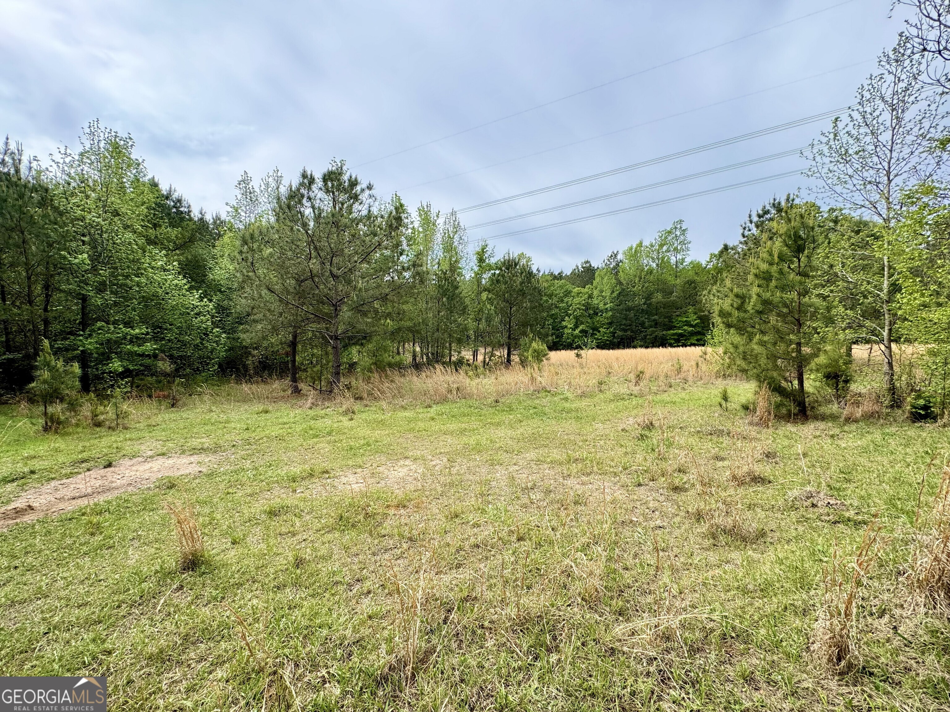 1085 Roy Lawrence Road Sparta GA 31087