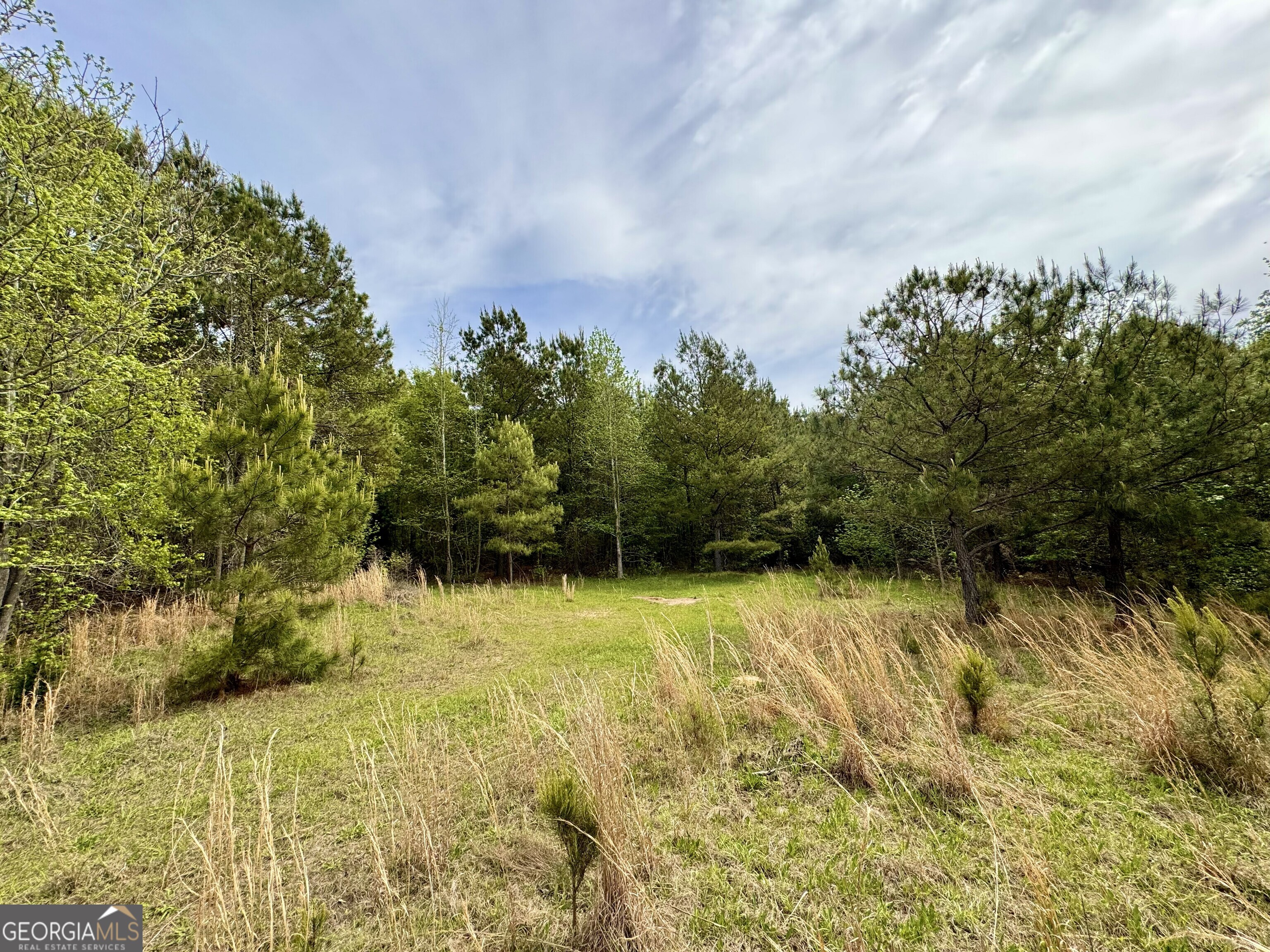 1085 Roy Lawrence Road Sparta GA 31087