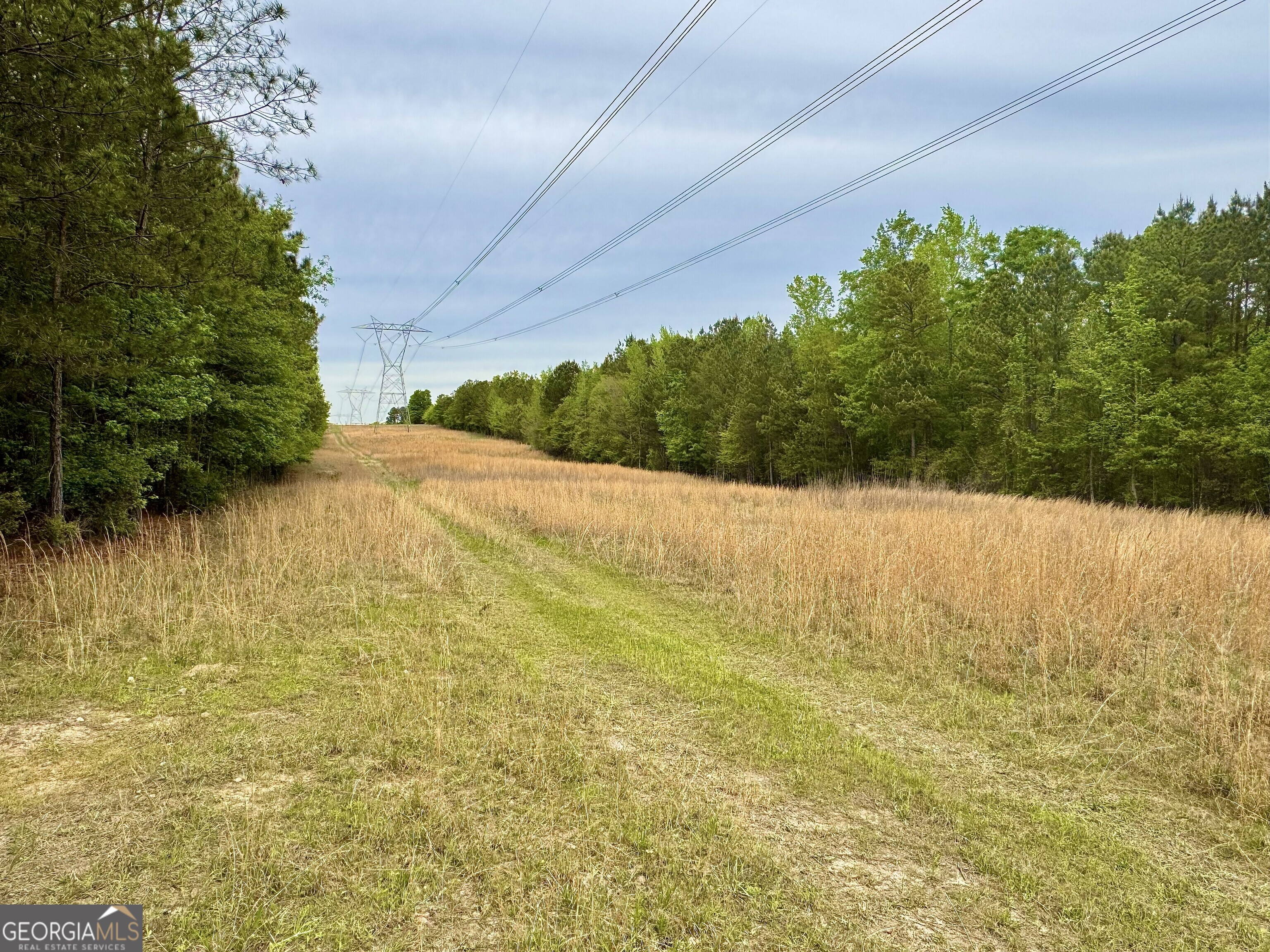 1085 Roy Lawrence Road Sparta GA 31087