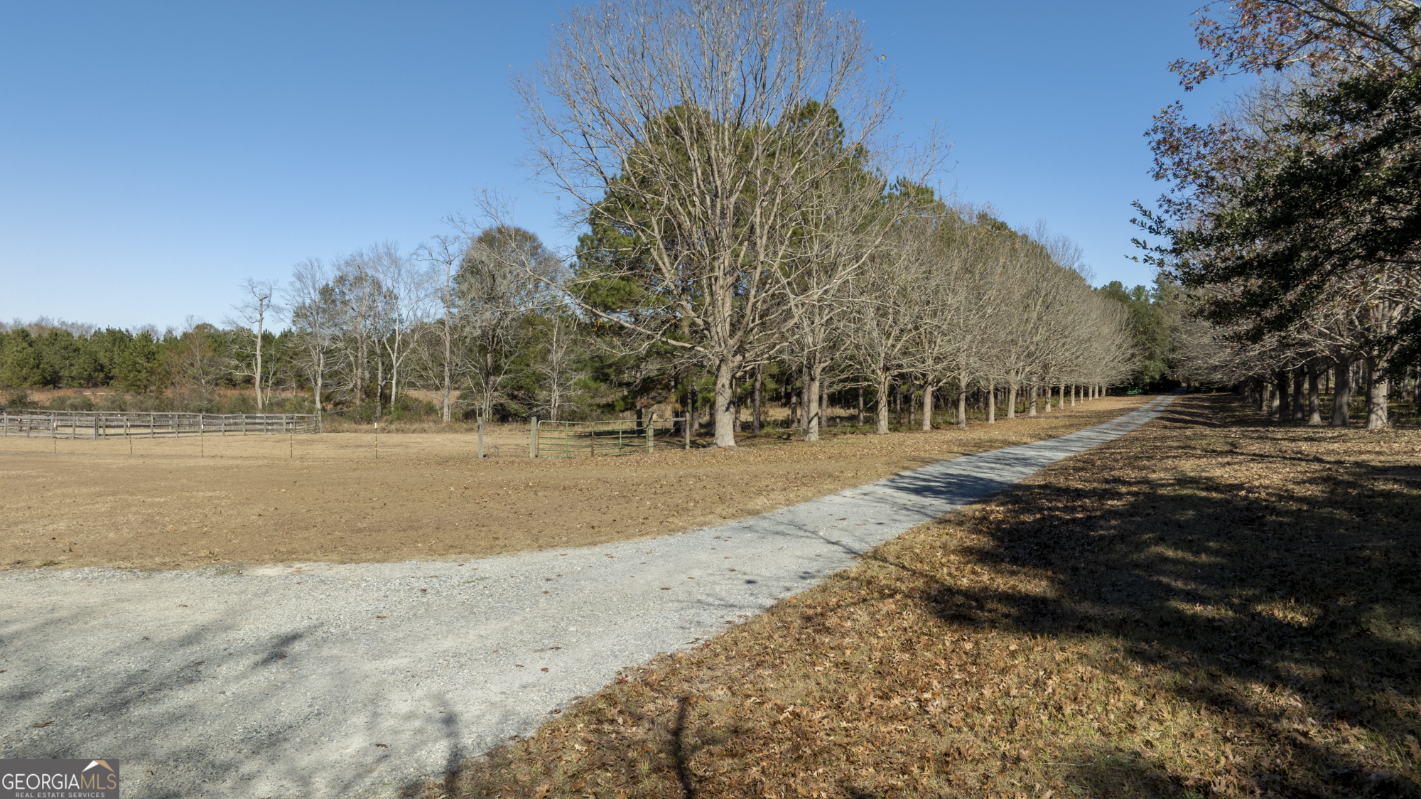 2685 Carters Bridge Road Claxton GA 30417