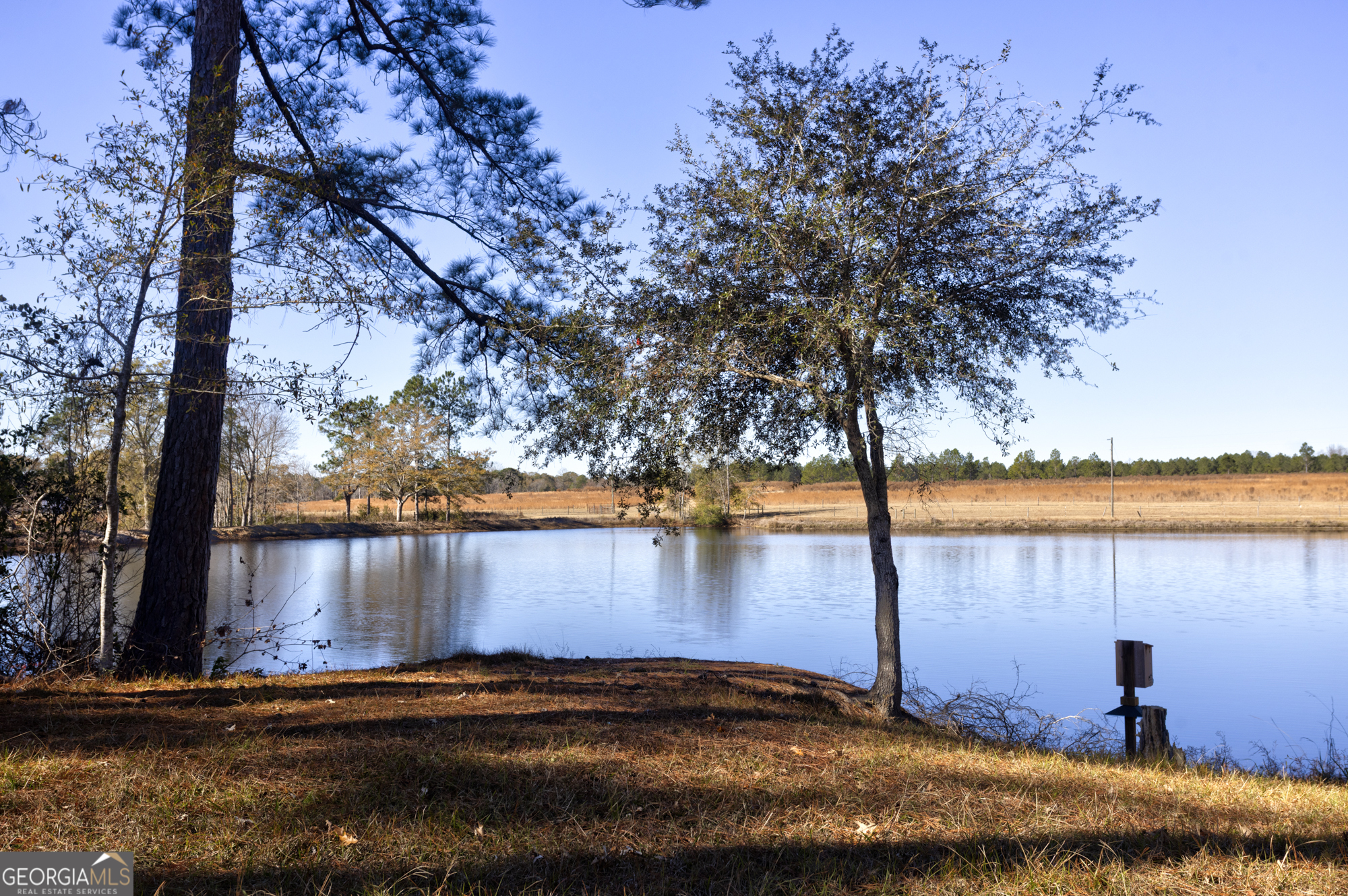 2685 Carters Bridge Road Claxton GA 30417