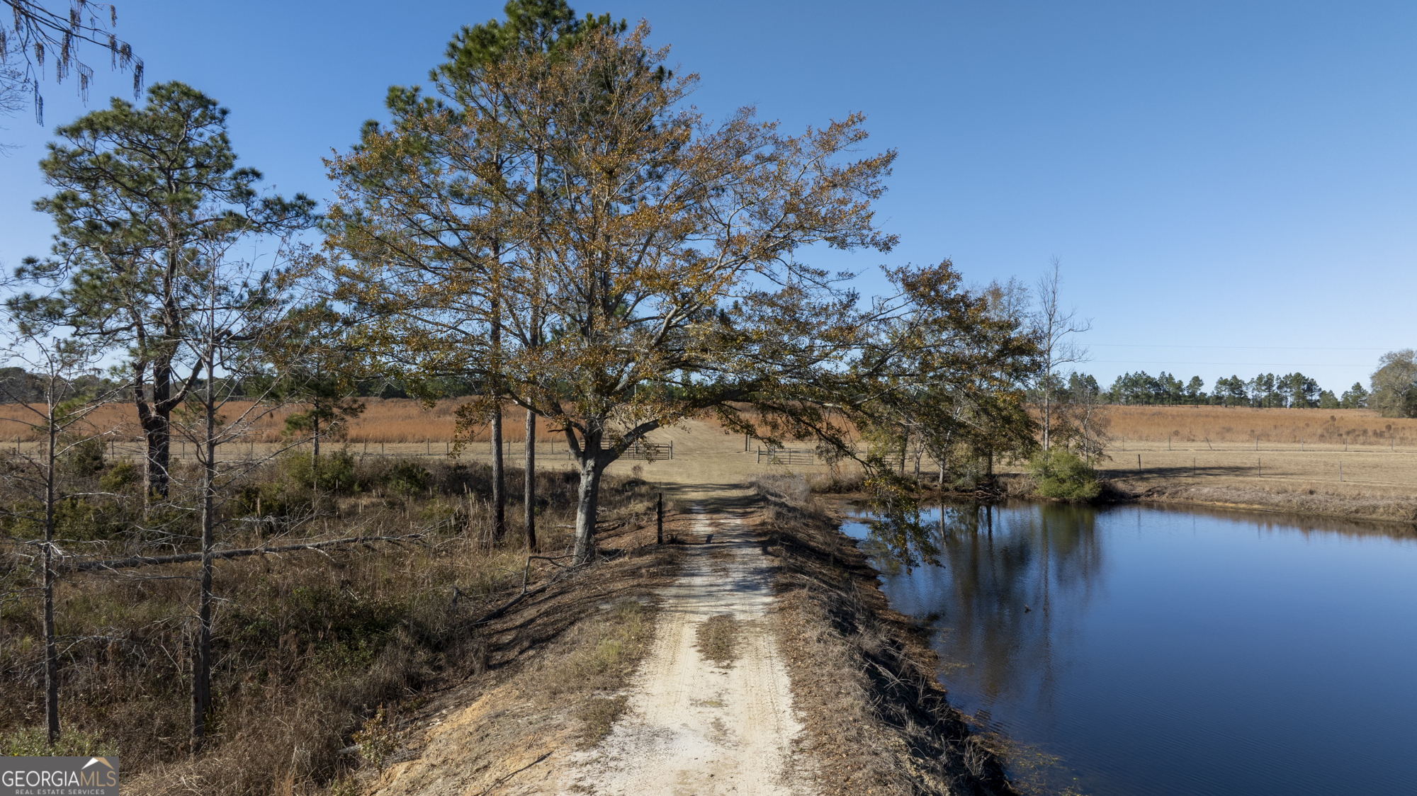 2685 Carters Bridge Road Claxton GA 30417
