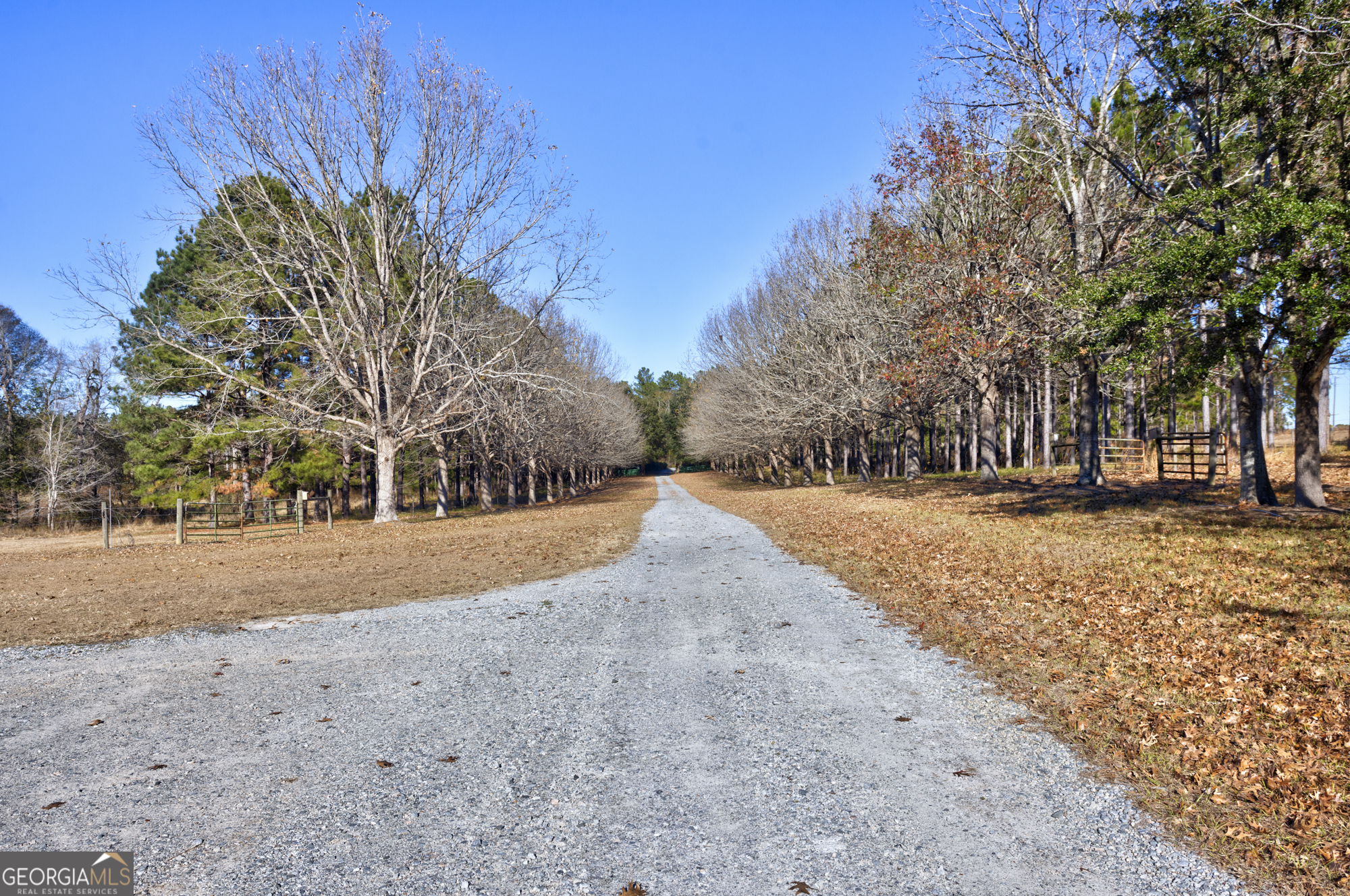2685 Carters Bridge Road Claxton GA 30417