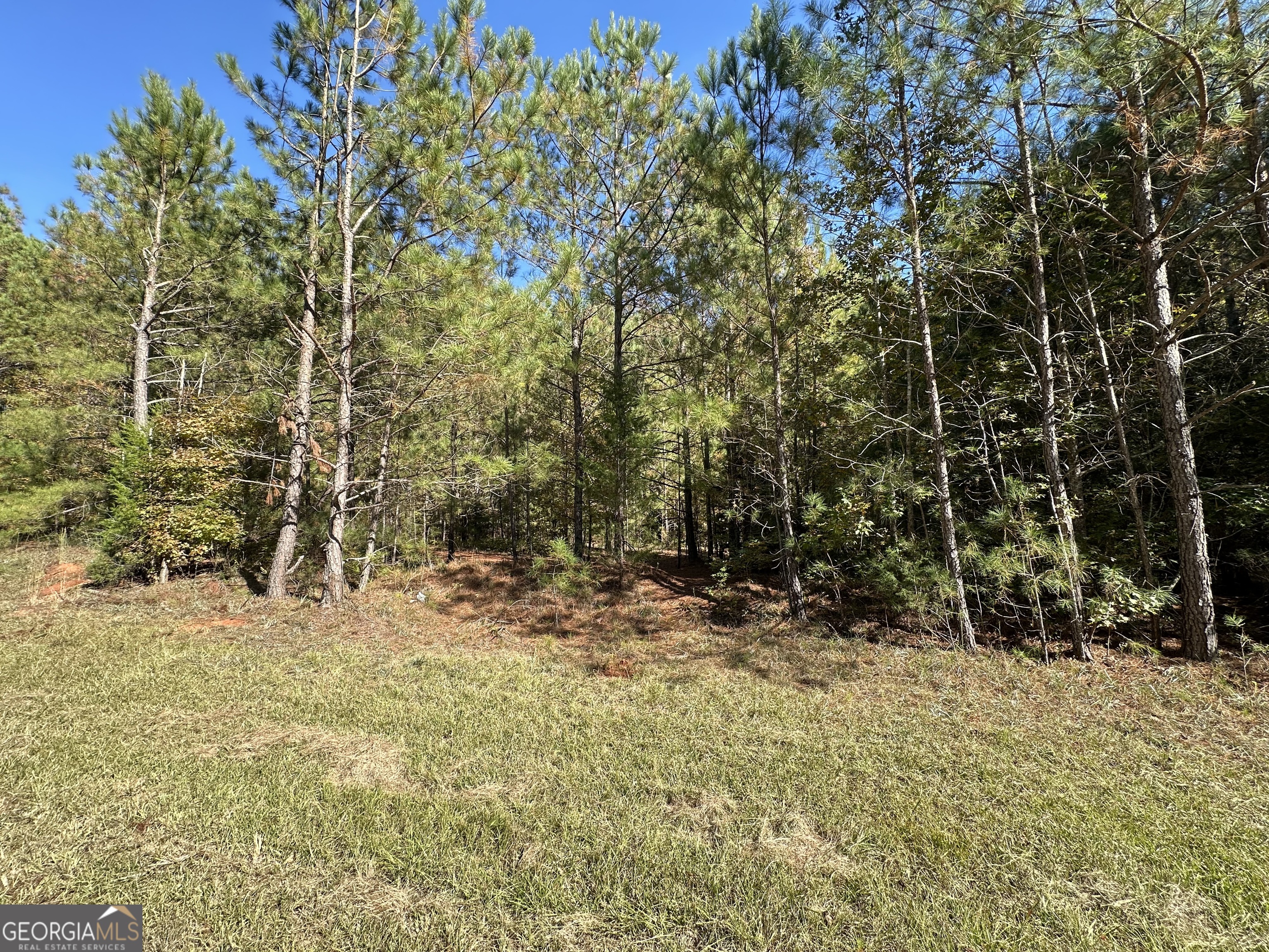 0 Crook Road Lincolnton GA 30817