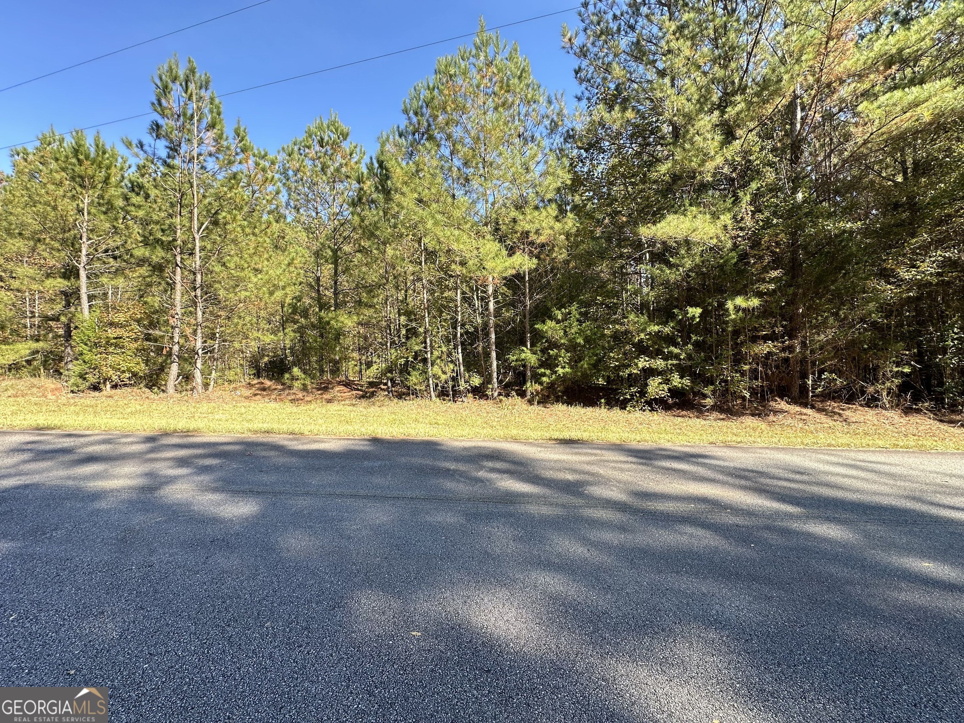 0 Crook Road Lincolnton GA 30817
